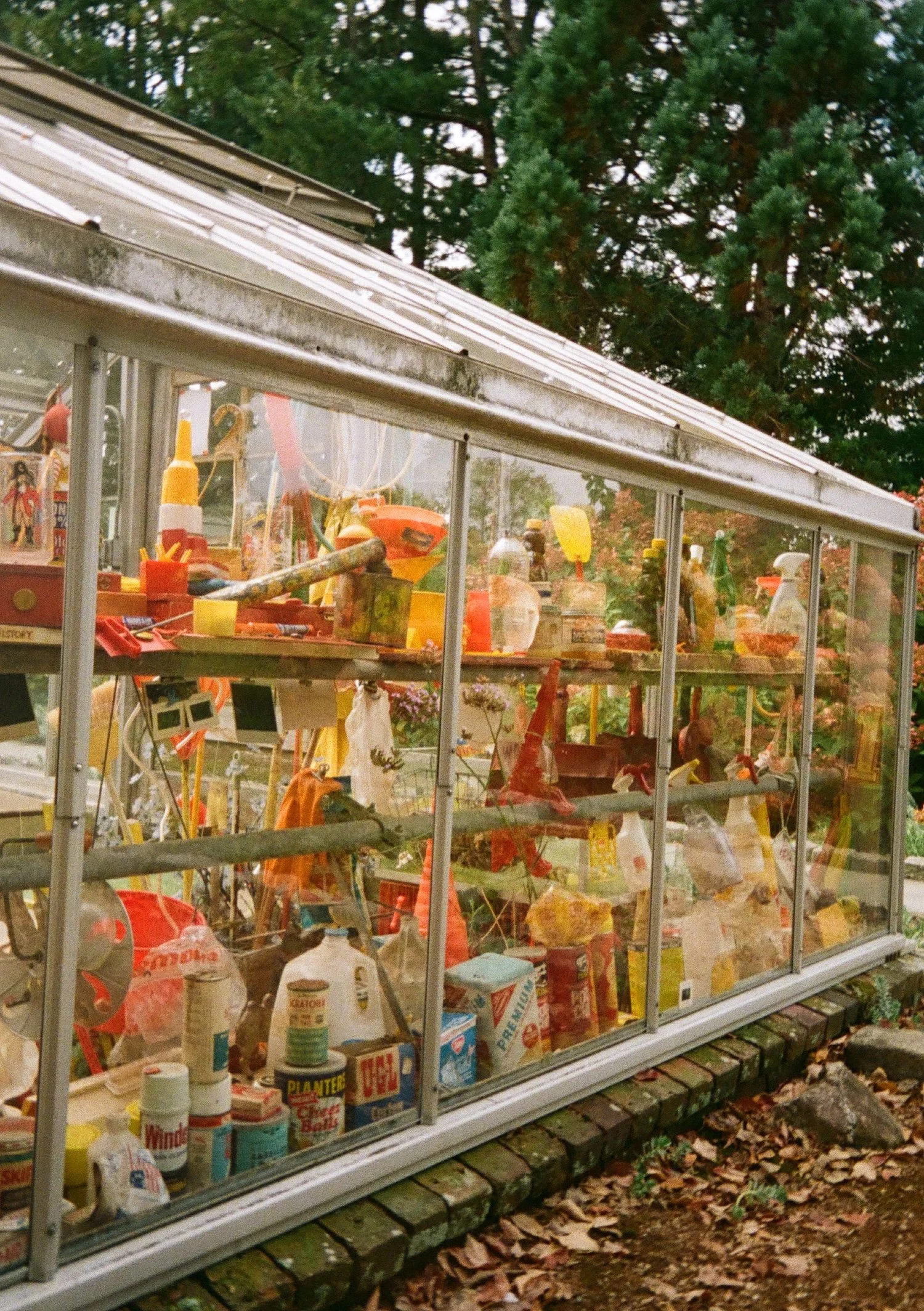 Allen C. Haskell propagation greenhouse installation by Carl Simmons 