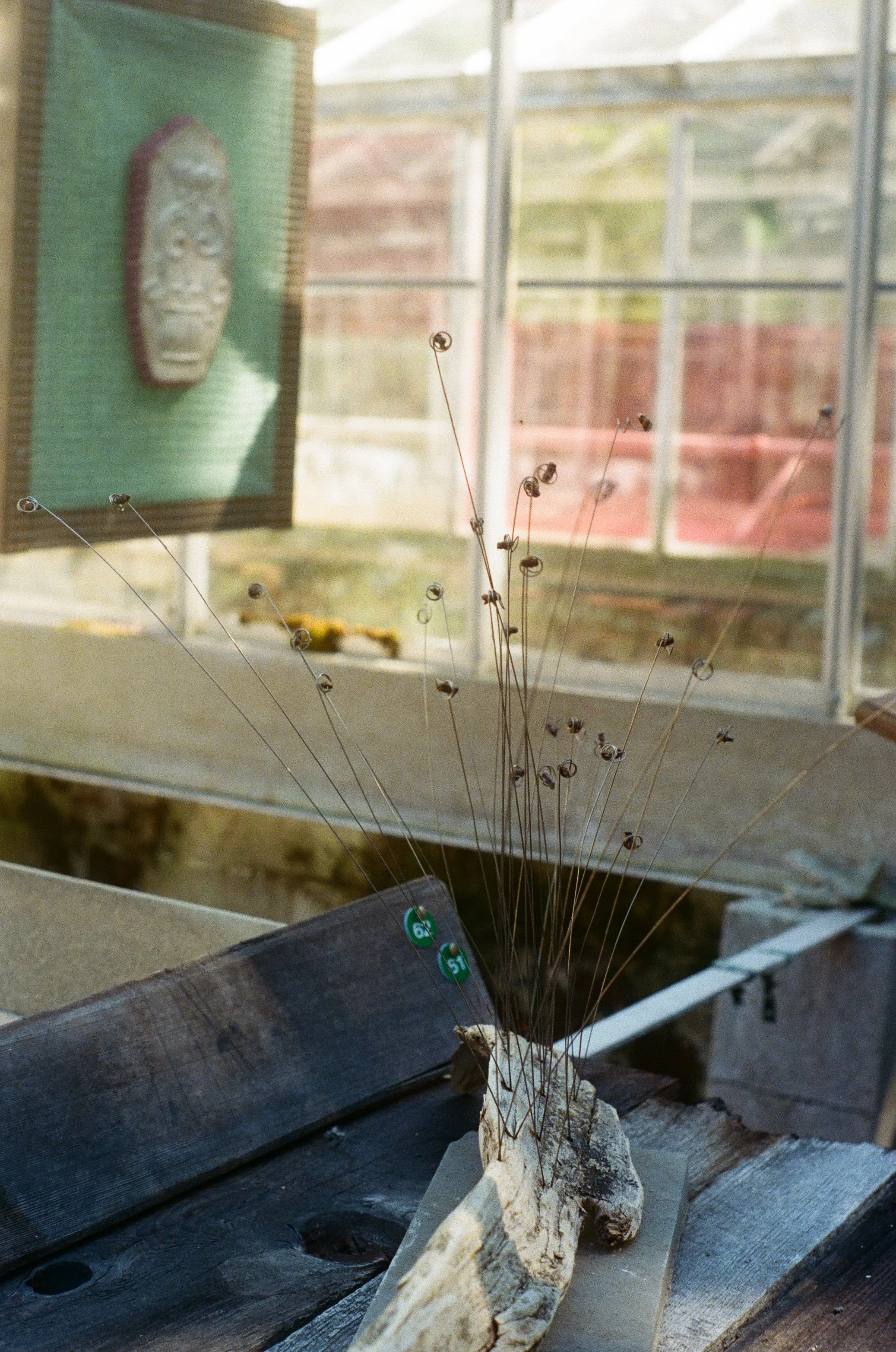 Requiem for the Colony by Stéphanie Williams