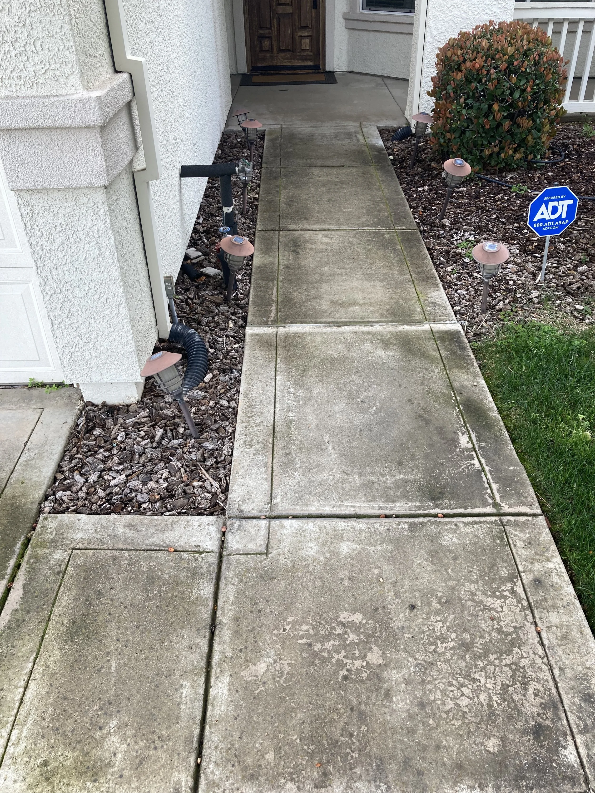 IMG_0349.jpeg