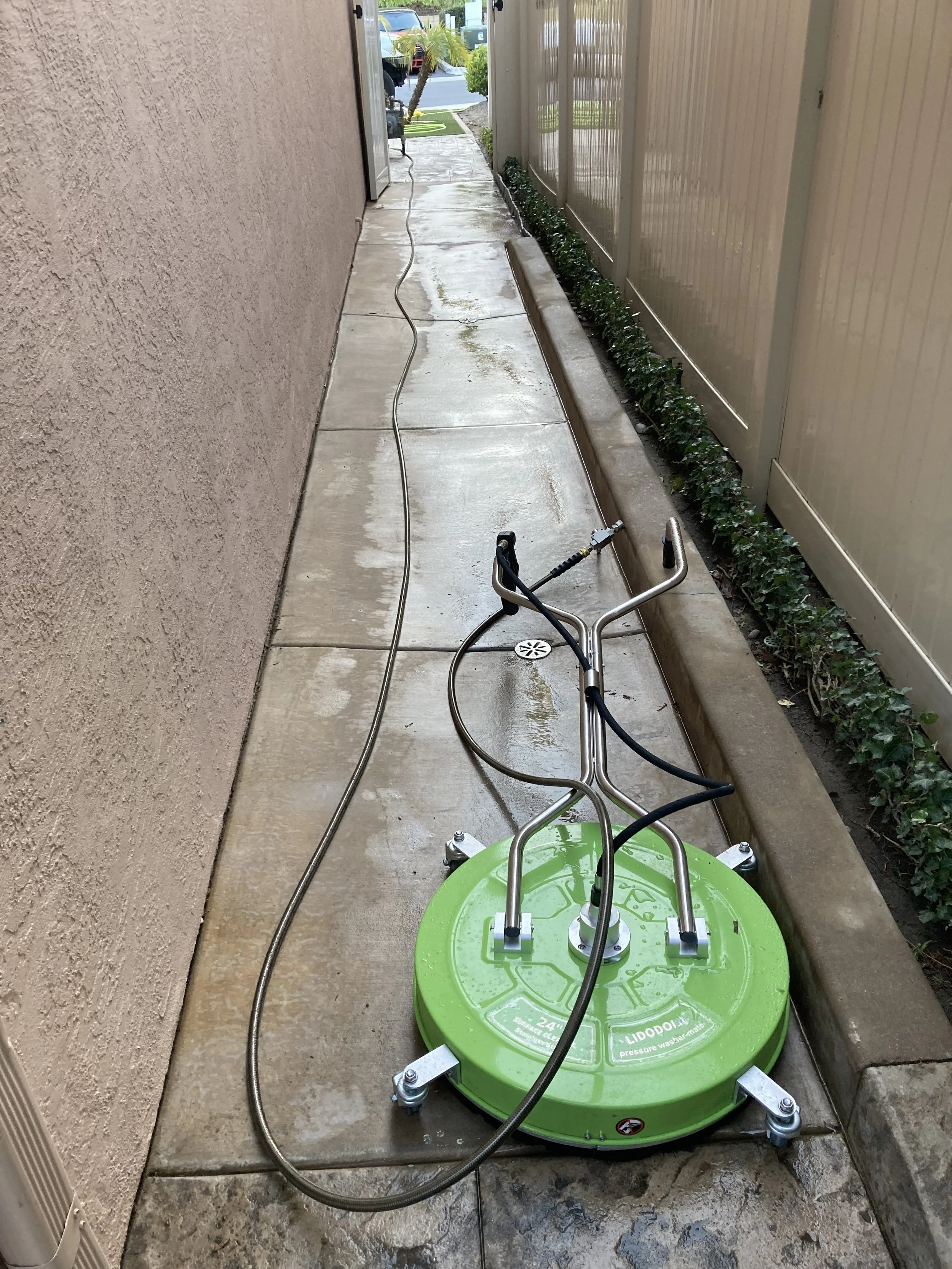 IMG_0203.jpeg