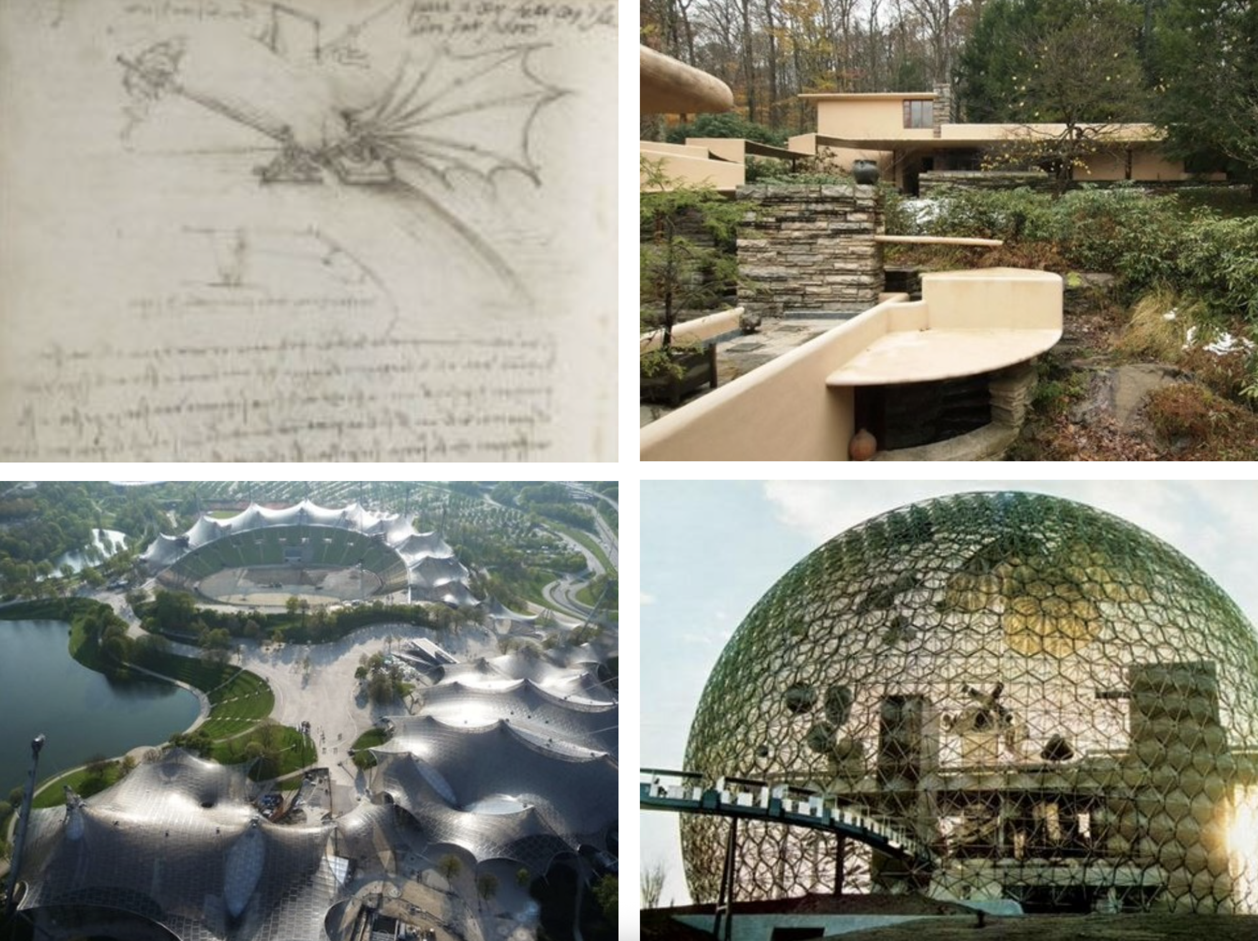 Biomimicry 101: The History of Biomimicry
