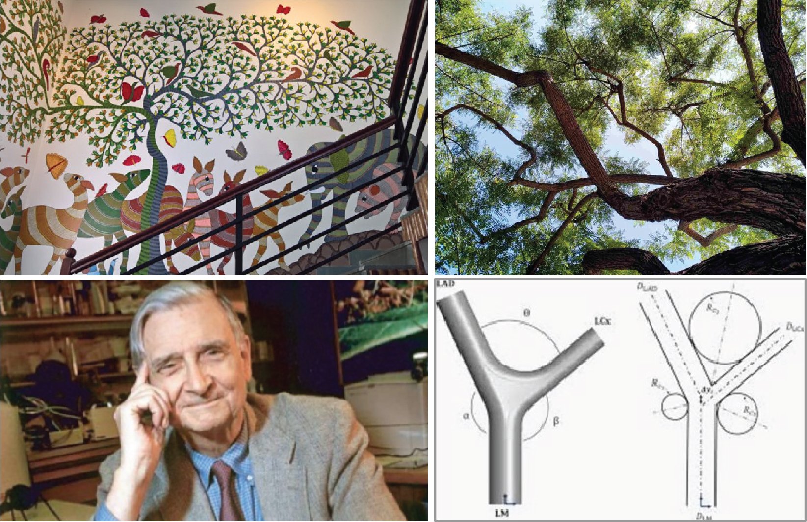 Biomimicry 101: Biophilia vs Biomimicry