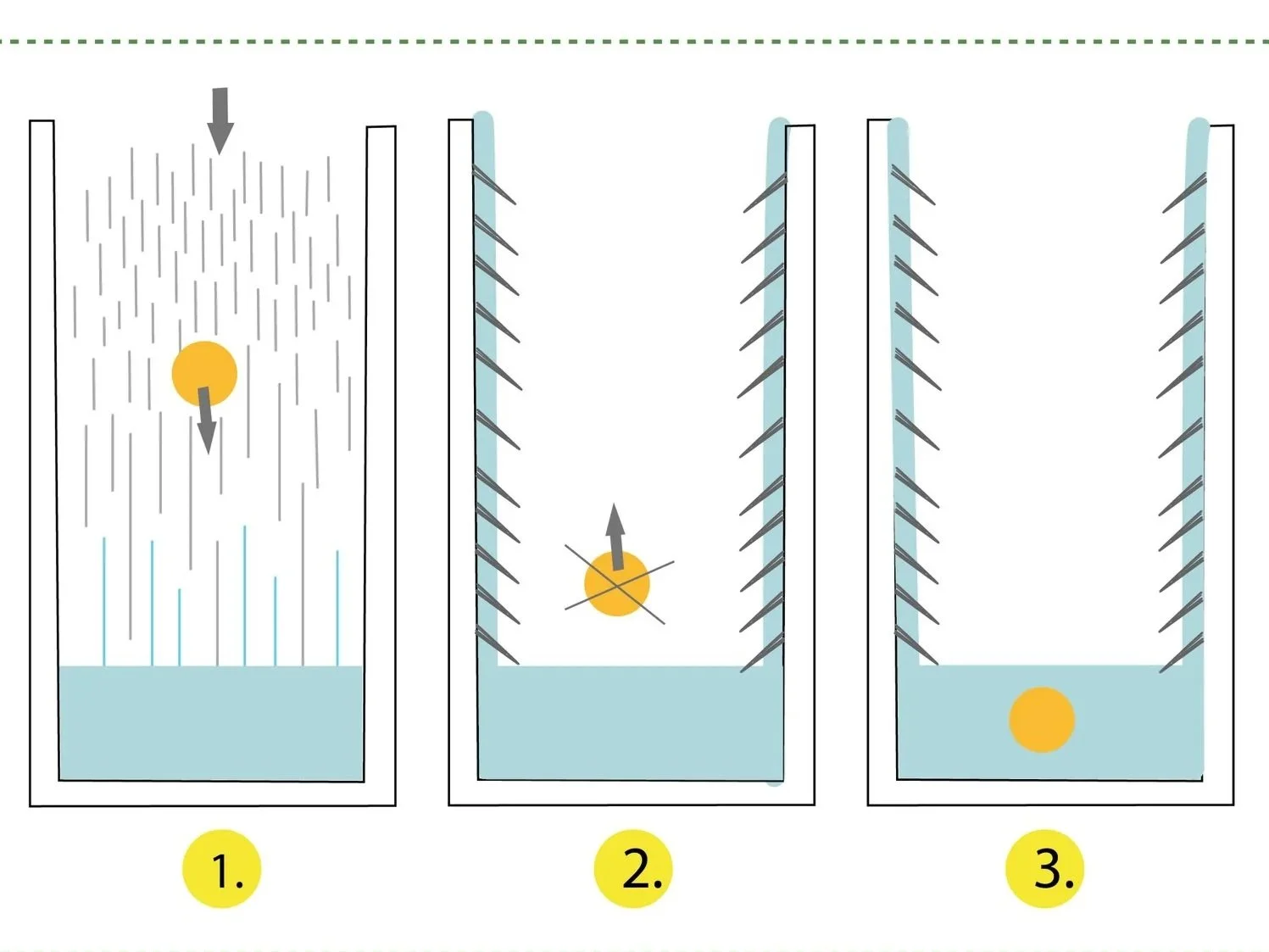 How to trap prey without teeth or claws