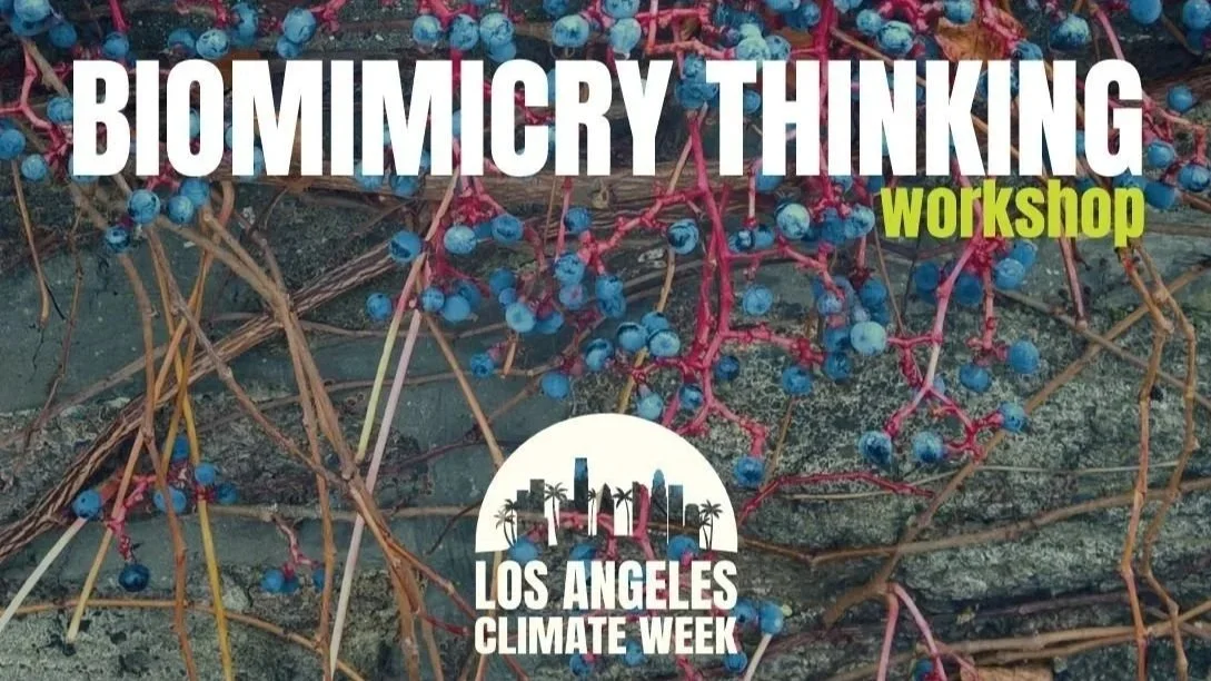 LA Climate Week