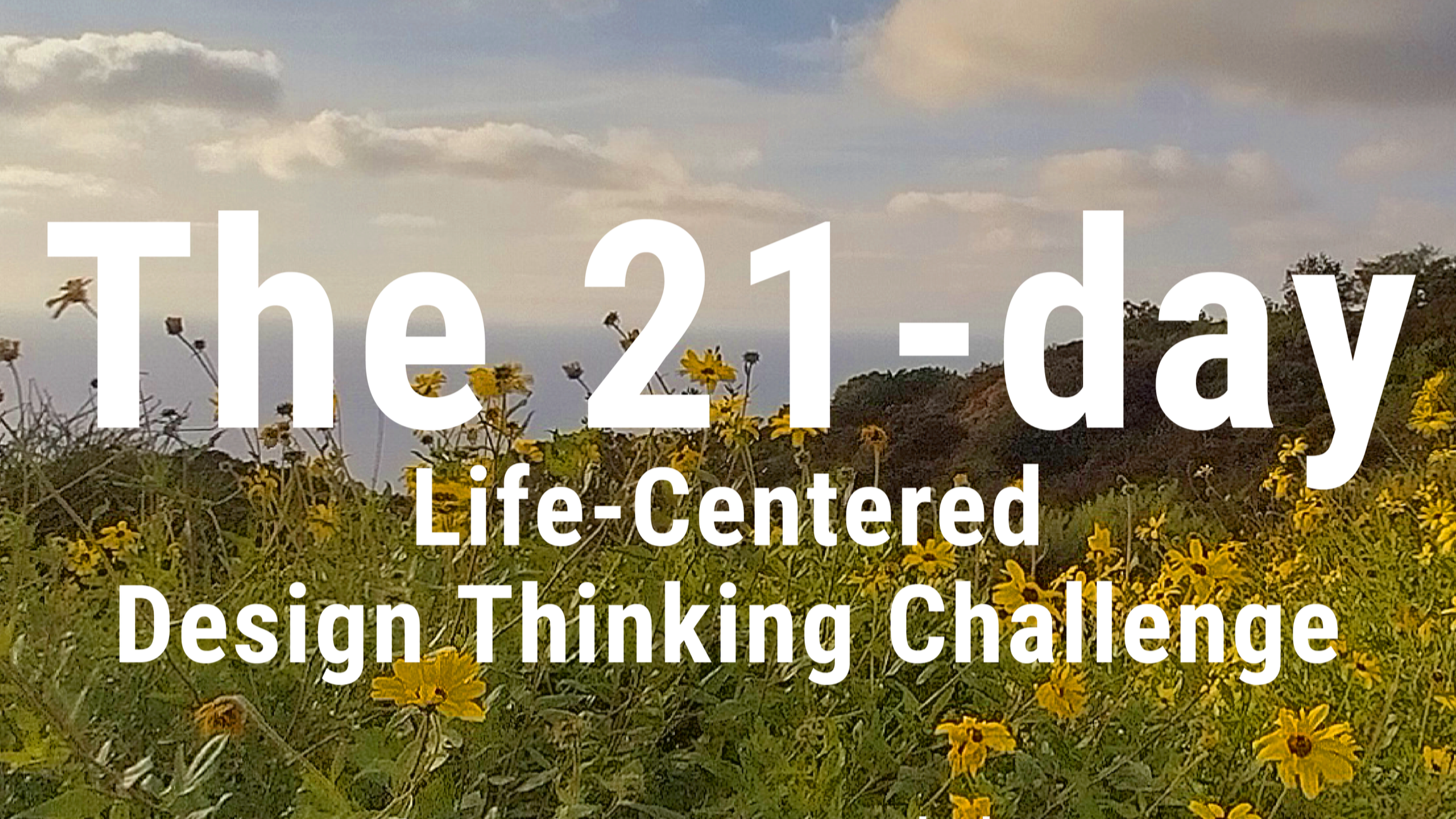 The 21-Day Challenge