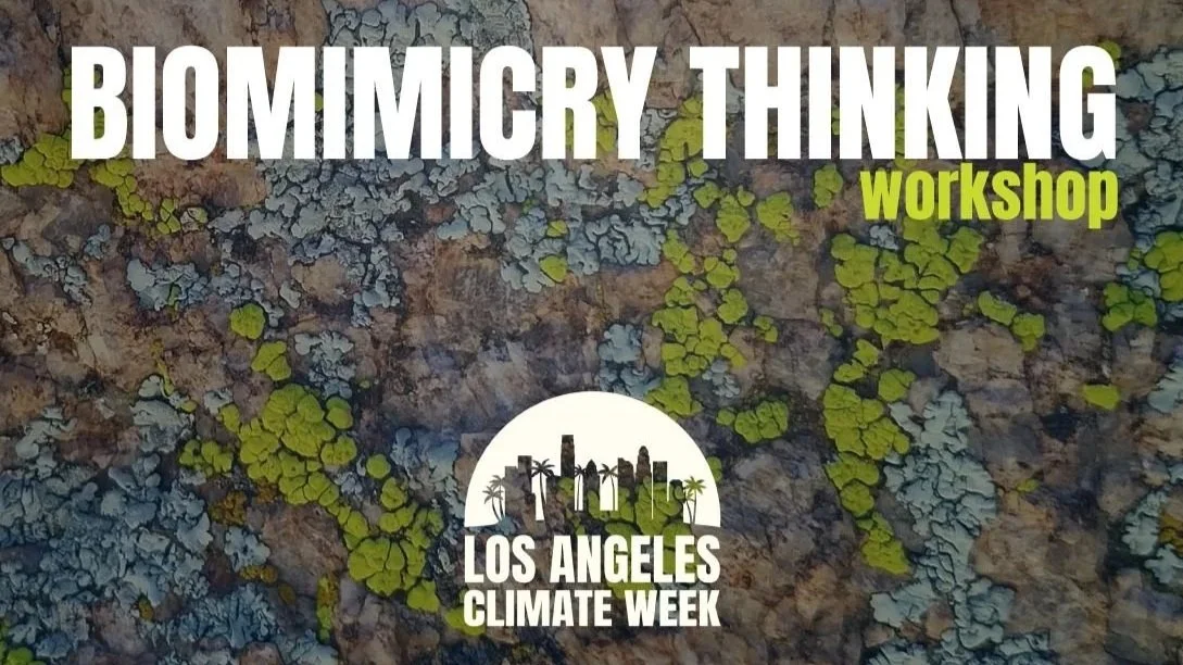 Biomimicry Thinking Workshop at LACW