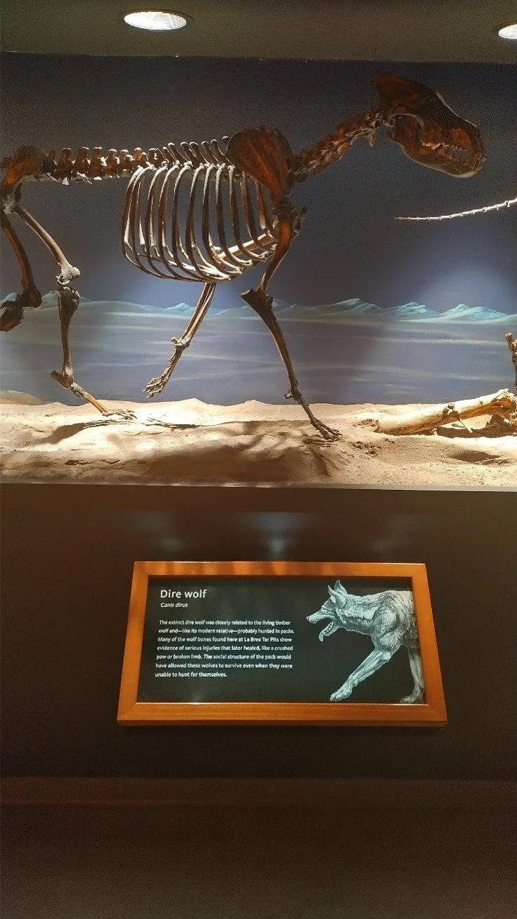 Picture5.jpg