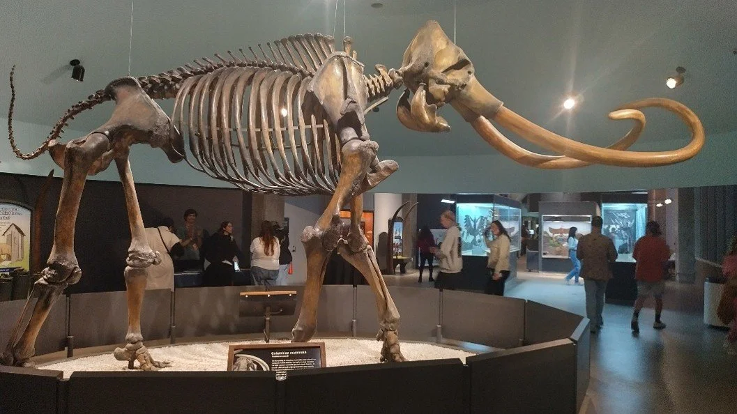 Picture2.jpg