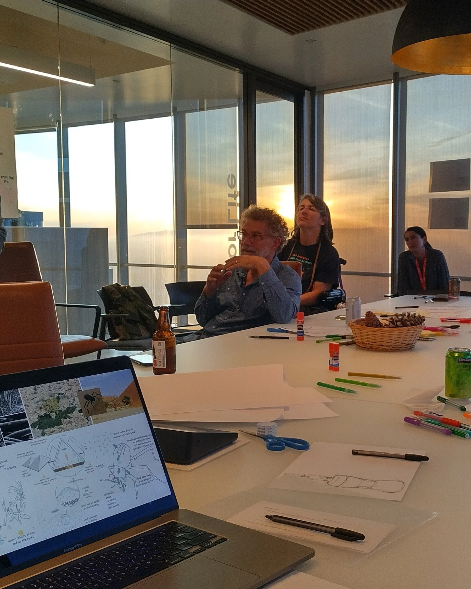 We are all designers, but we all need to be climate designers today.

Biomimicry Thinking Workshop in LA.

#LACW #LAClimateWeek
#design #lifecentereddesign