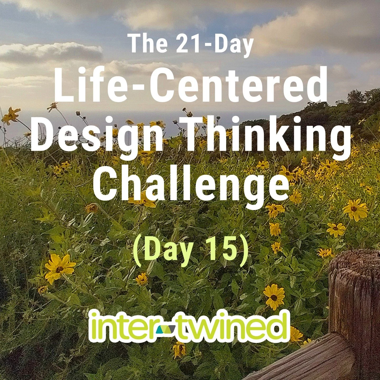 What If We Had a Back-Up Strategy? 🌍🕷️🪲🐌

It's day 15 of the 21-day Life-Centered Design Thinking Challenge, and today is about (bio)diversity.
Are you following along? 

Here is today's prompt:

Ecosystems survive because they maintain variety. 