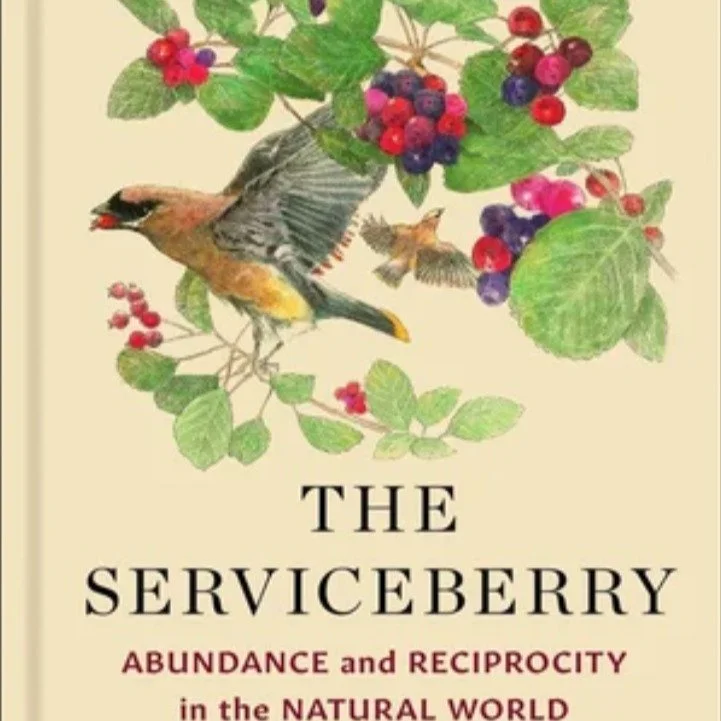 Happy Summer! 

Here are some of our favorite summer reads, -these are all from our beloved teacher and mentor, Robin Wall Kimmerer.

0the Serviceberry
Braiding Sweetgrass
Gathering Moss

Read more:
https://inter-twined.com/
https://www.robinwallkimm