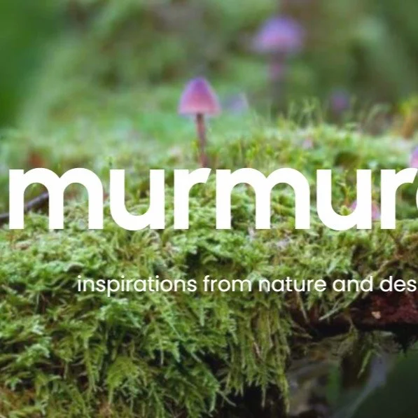 Hurray! The July issue of Murmurations is now out!

It seemed only fitting that this month's issue would celebrate one of the best parts of summer: spending a little more time outdoors and noticing the living world around us. We've found that it ofte