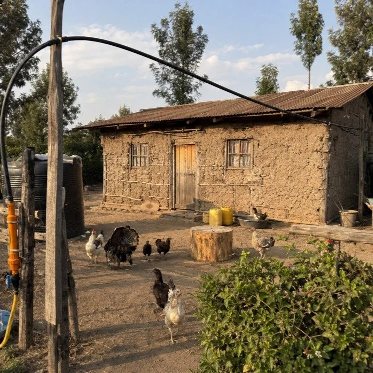 Treasure is traveling through Africa this summer! - "While traveling across East and South Africa, we've visited family homesteads, local crafters, and small businesses to observe and understand how people live from day to day. One visit that ha