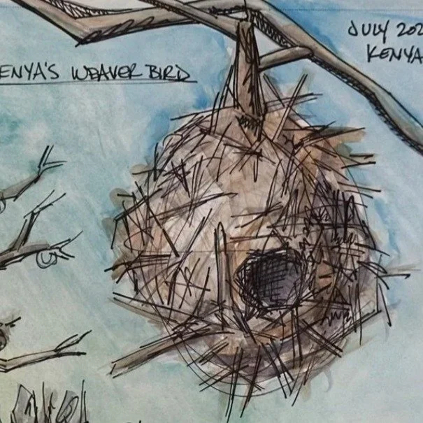 This summer, Treasure has been traveling across Africa, journaling, sketching, and painting the beauty she encounters along the way. This article is based on her writings and includes her photos and artwork.

Getting to the Serengeti is not easy, she