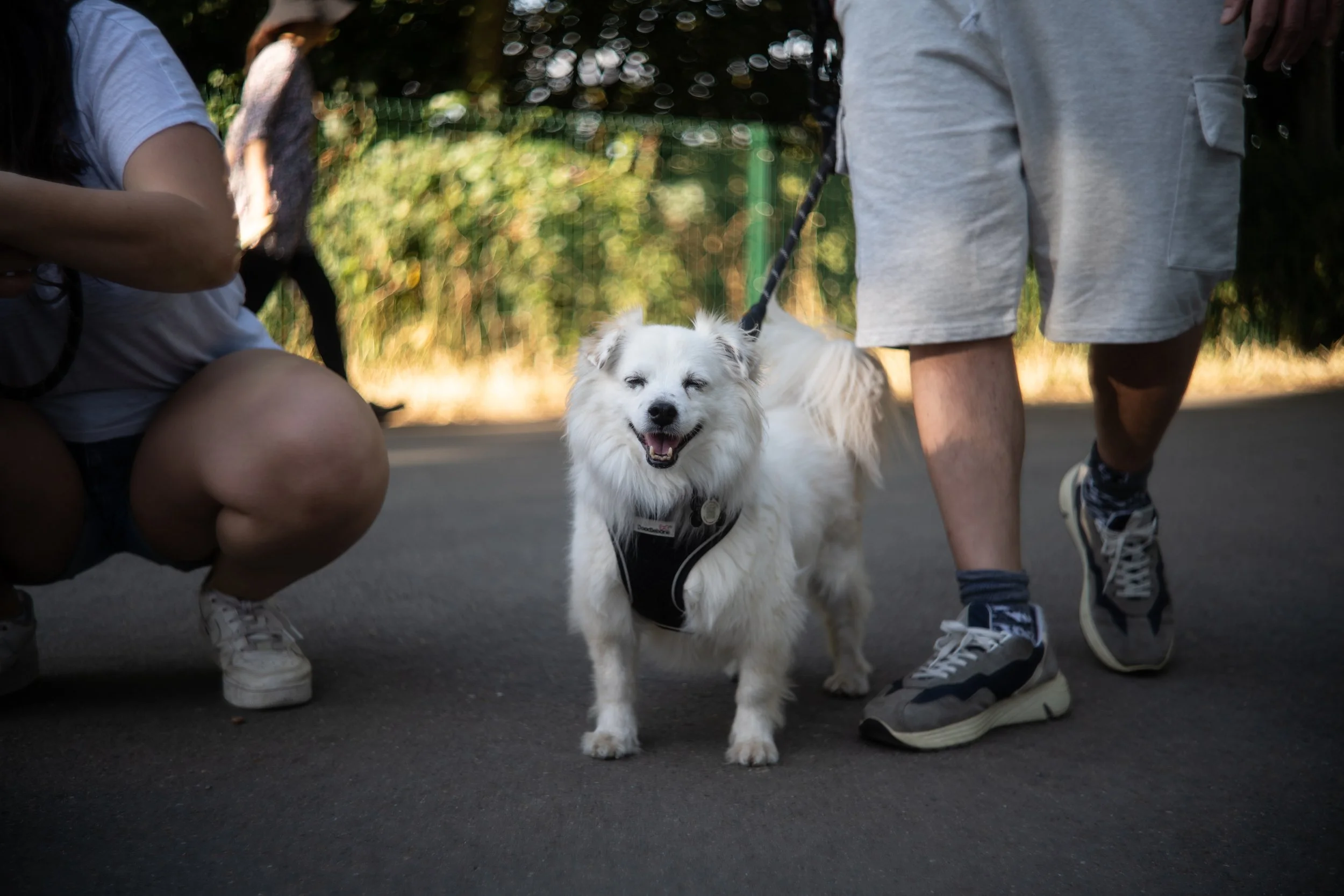 NZF_0971_副本.jpg