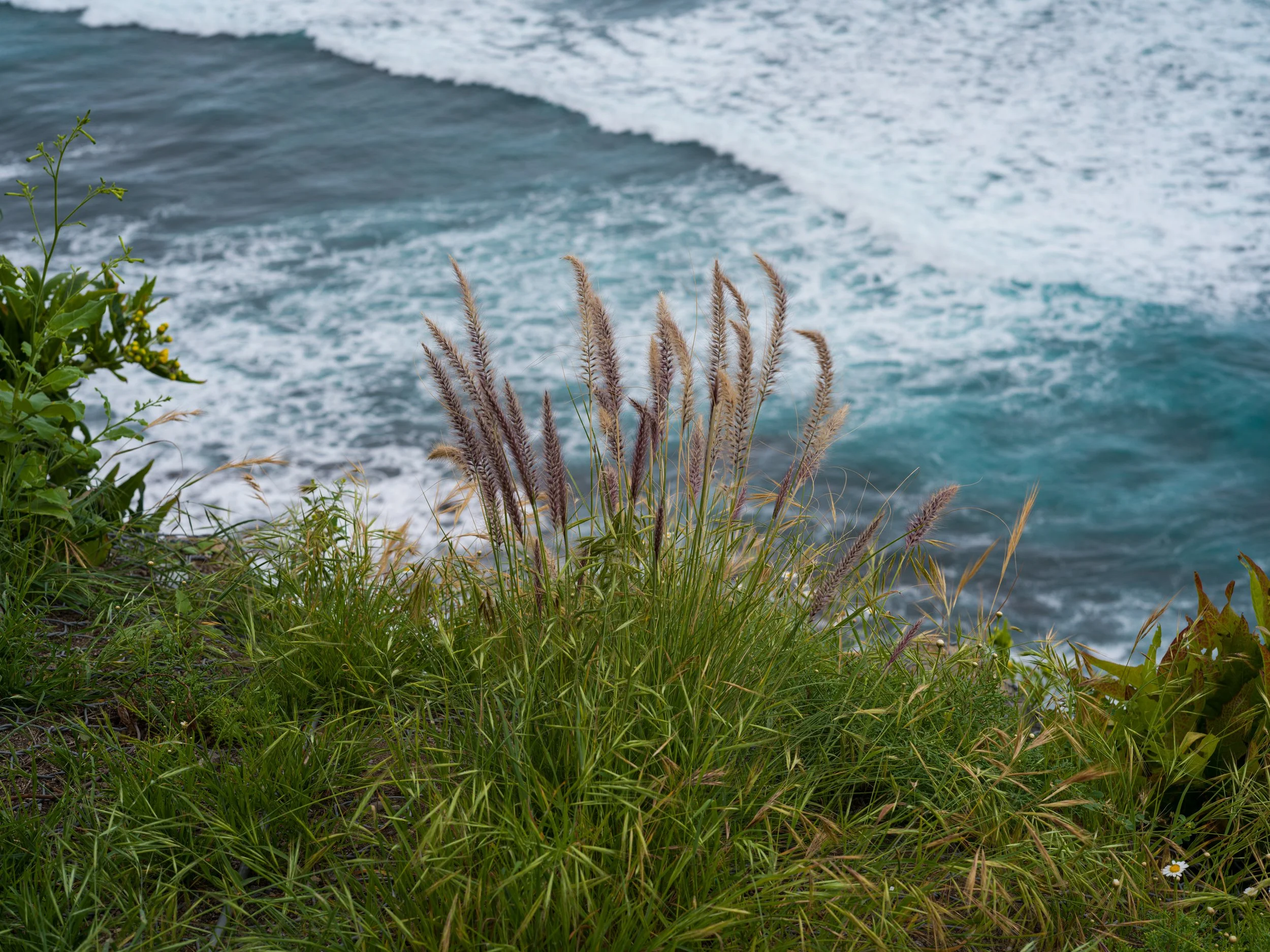 B0003552.jpg