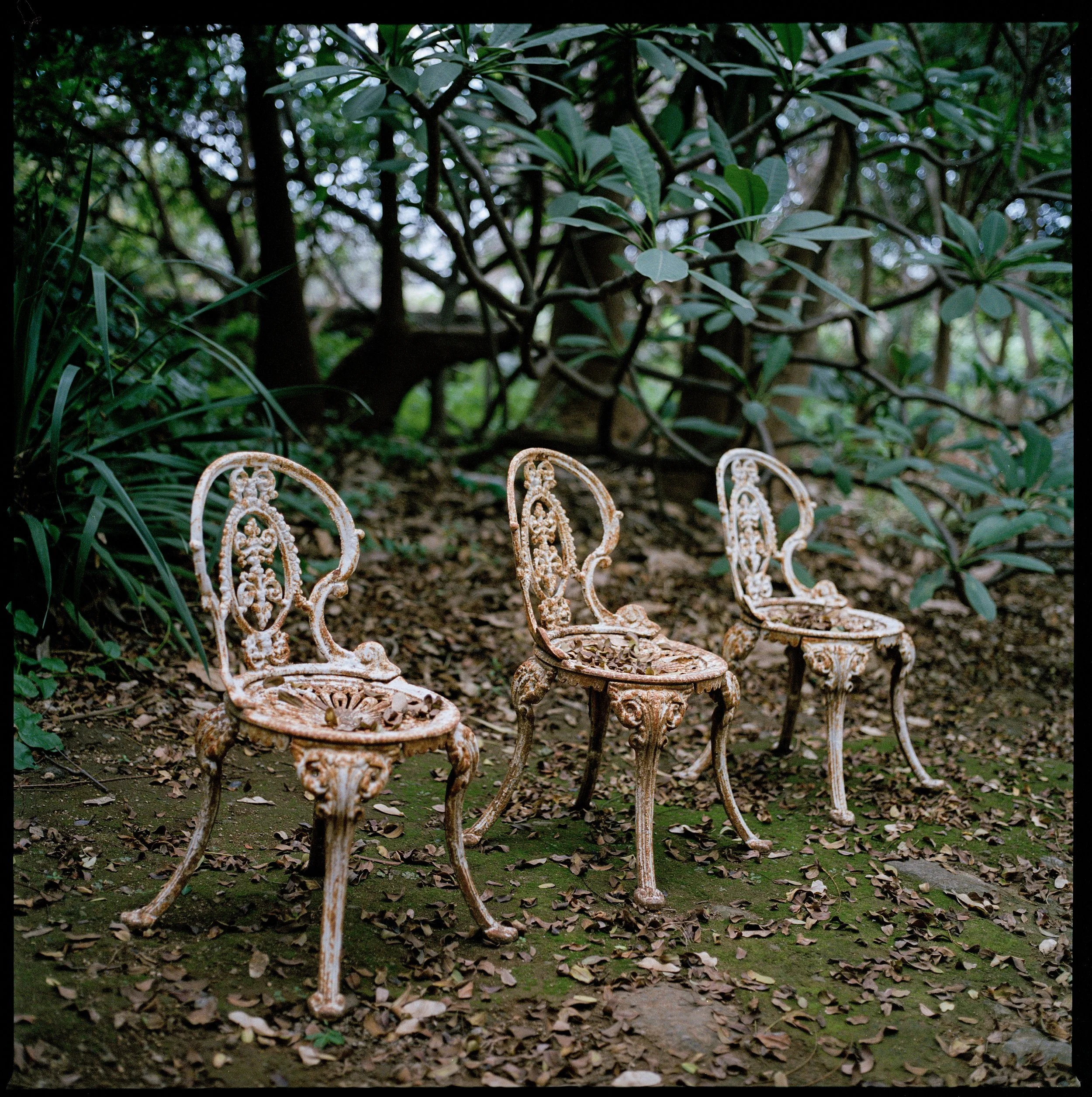 Untitled28-3.jpg