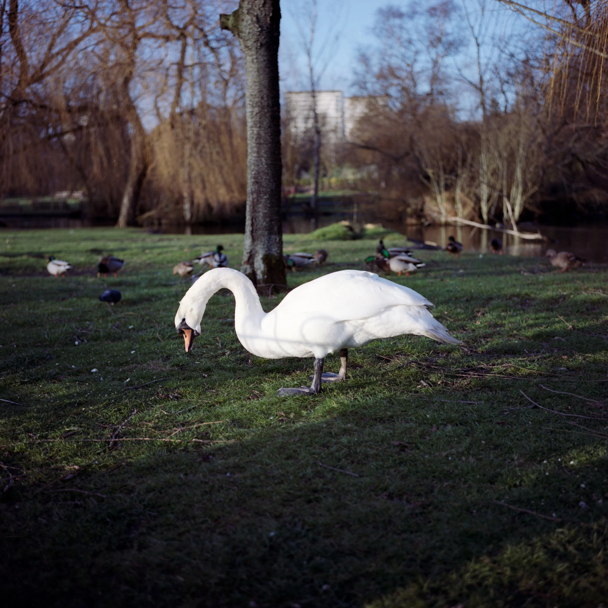 20220116-Image 1 (20).jpg