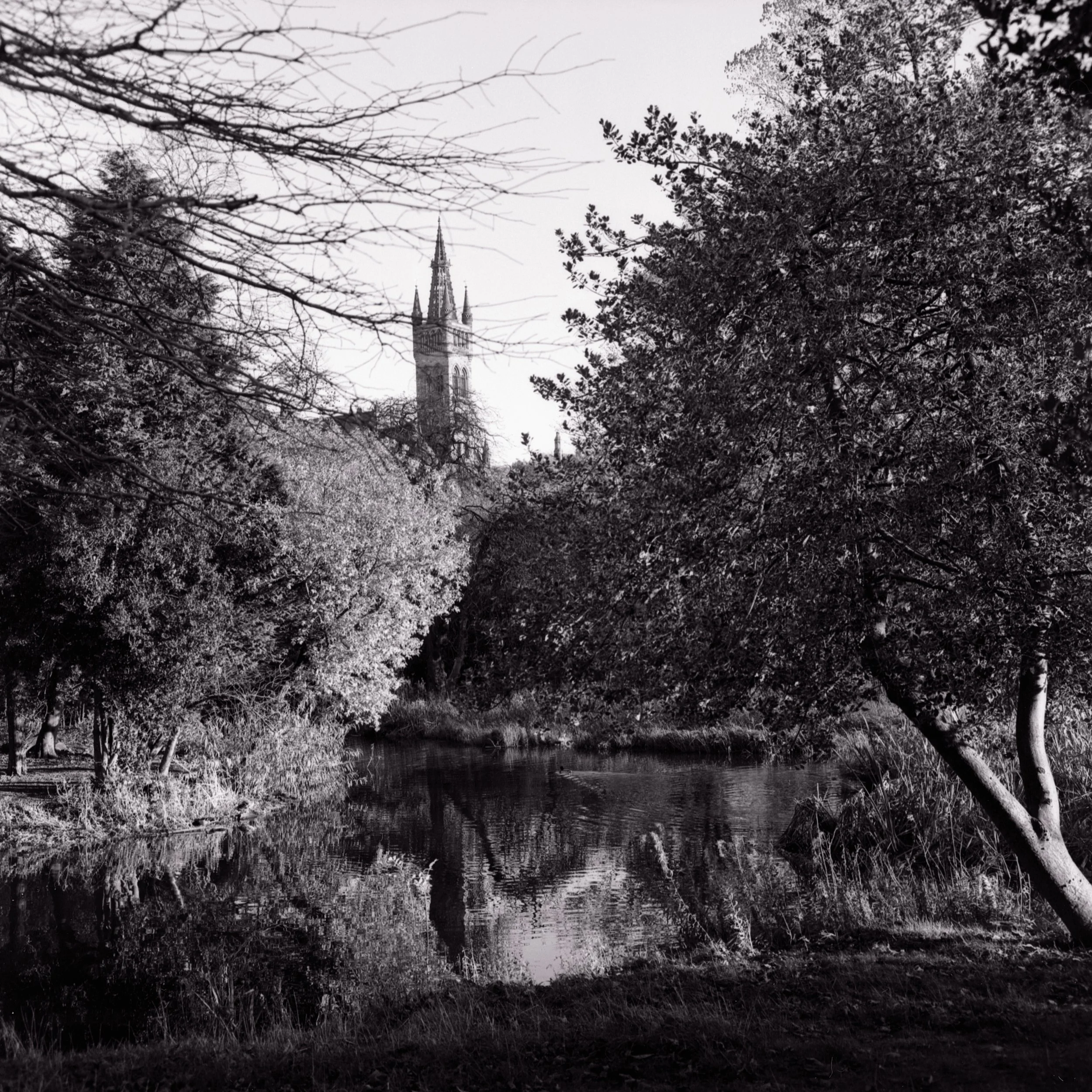 20211117-Image 1  3 6 9 12 15 18 23.jpg