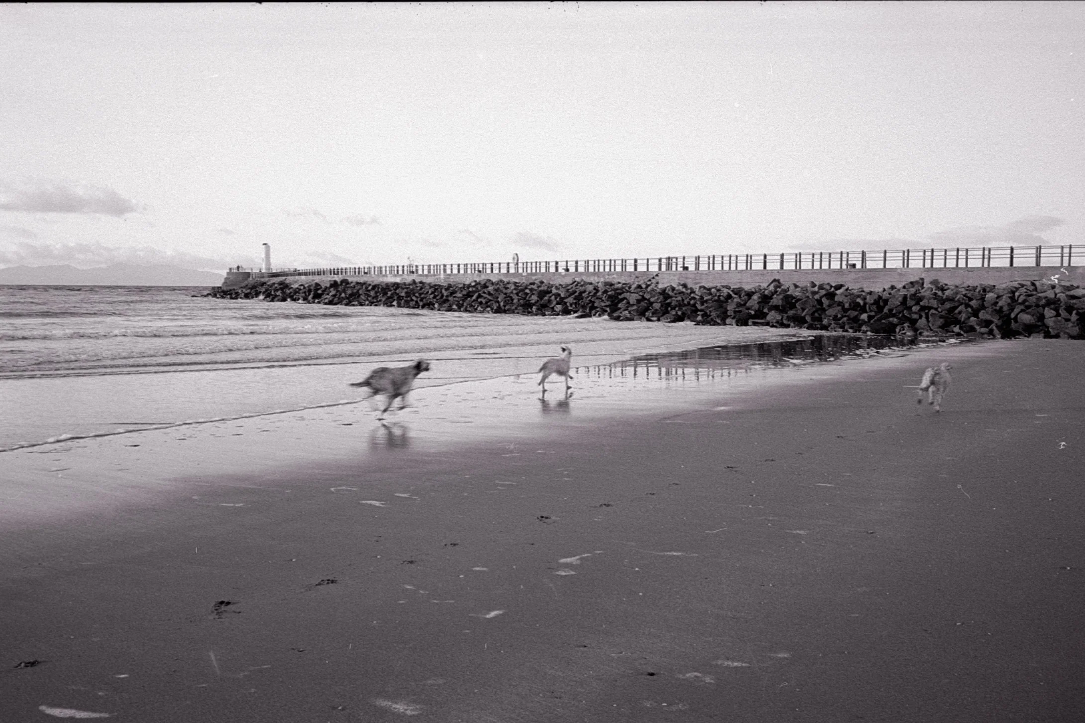 20211121-Image 1 6-2_副本.jpg