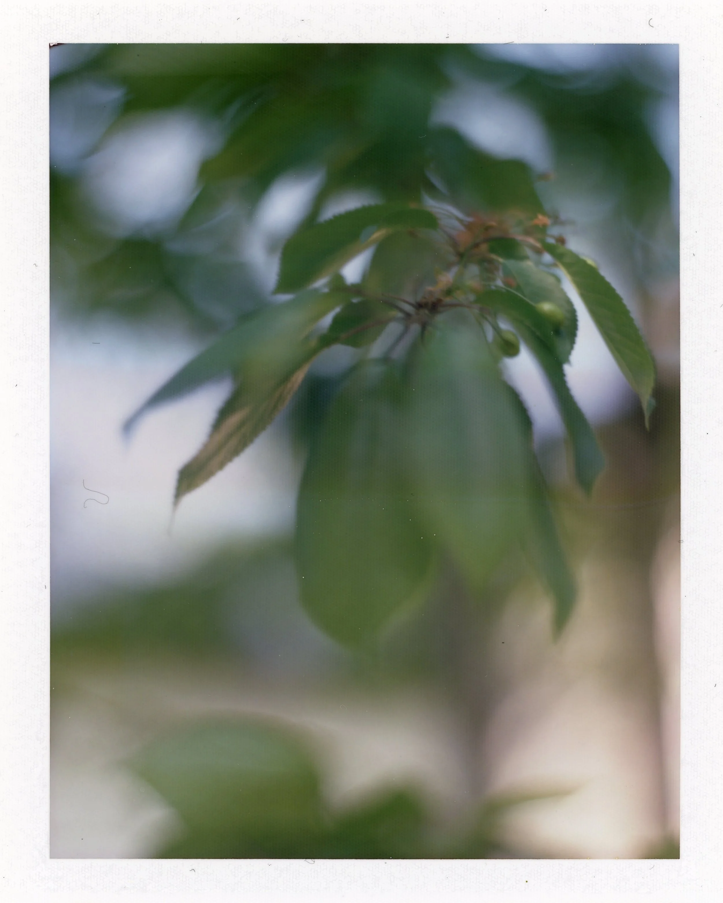 workshops0147.jpg