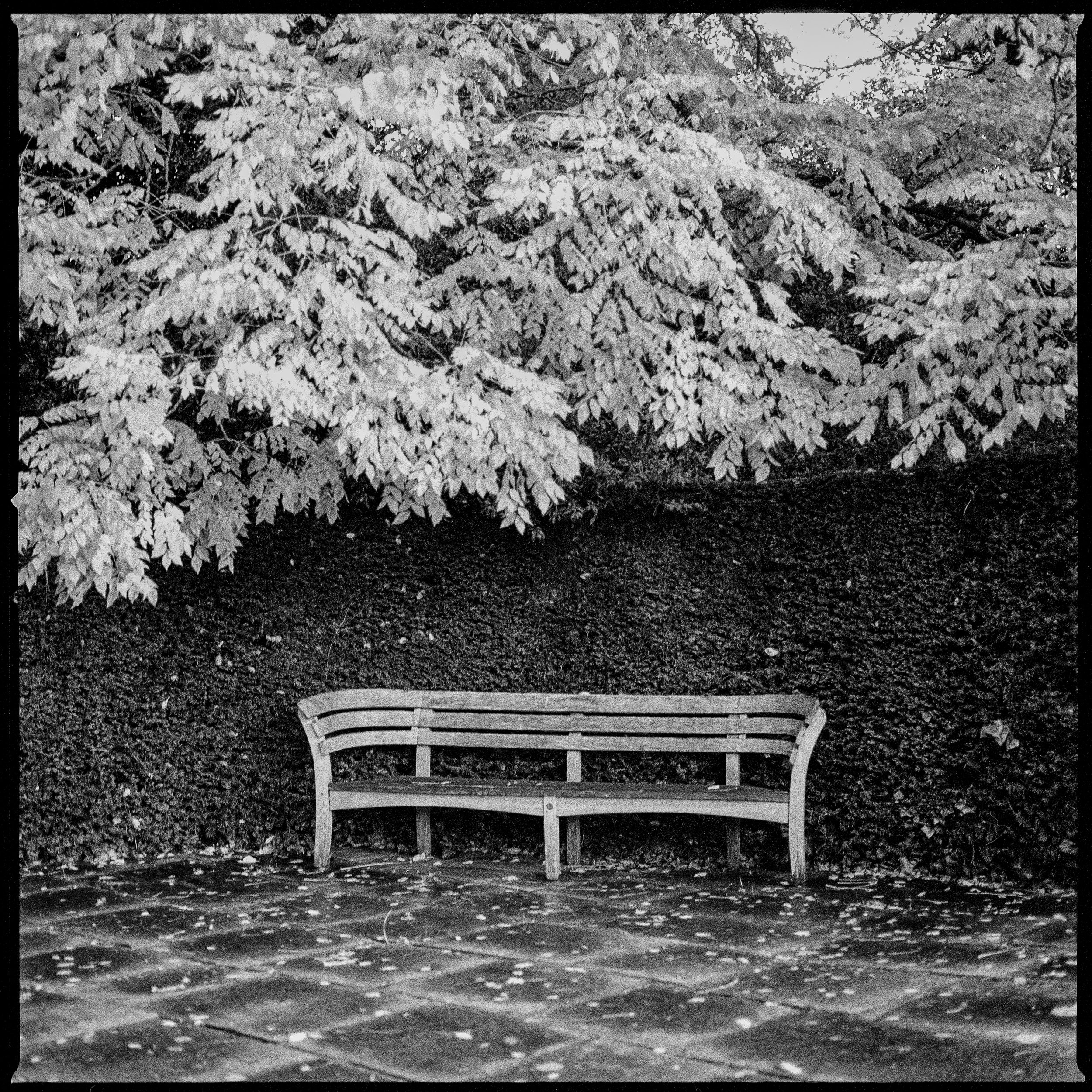 Untitled345-2.jpg