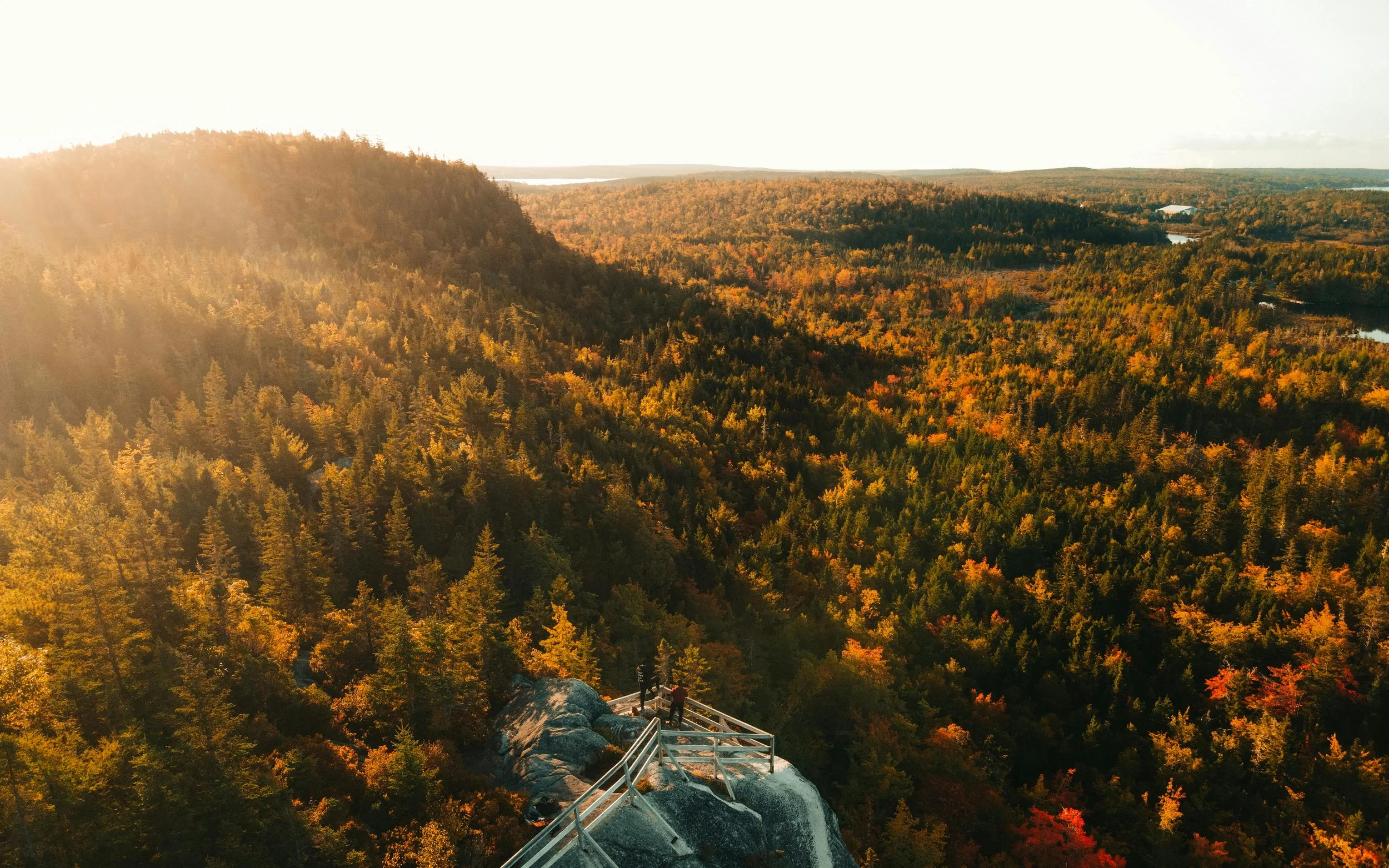 Bird's-eye view of a forested mountain landscape with people on a rocky viewing platform at sunset.