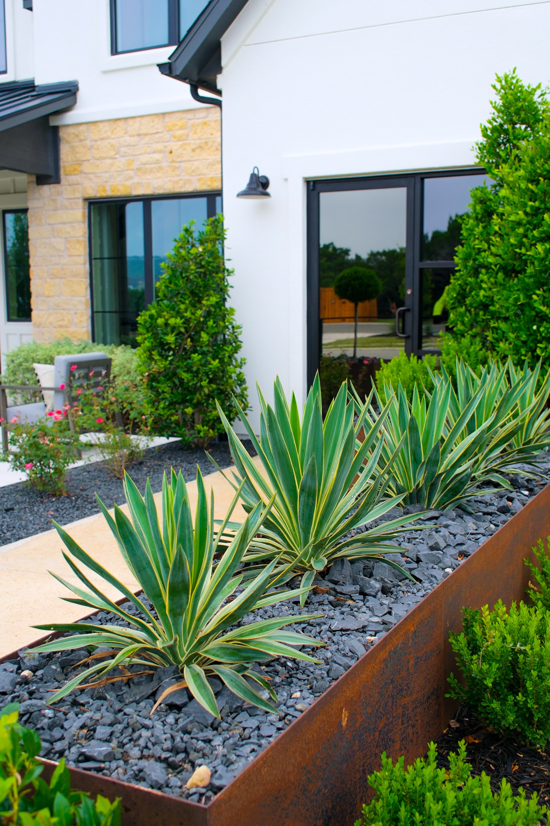 Modern house exterior with a garden bed filled with spiky green and yellow variegated plants, surrounded by small bushes and trees, and a black outdoor lantern