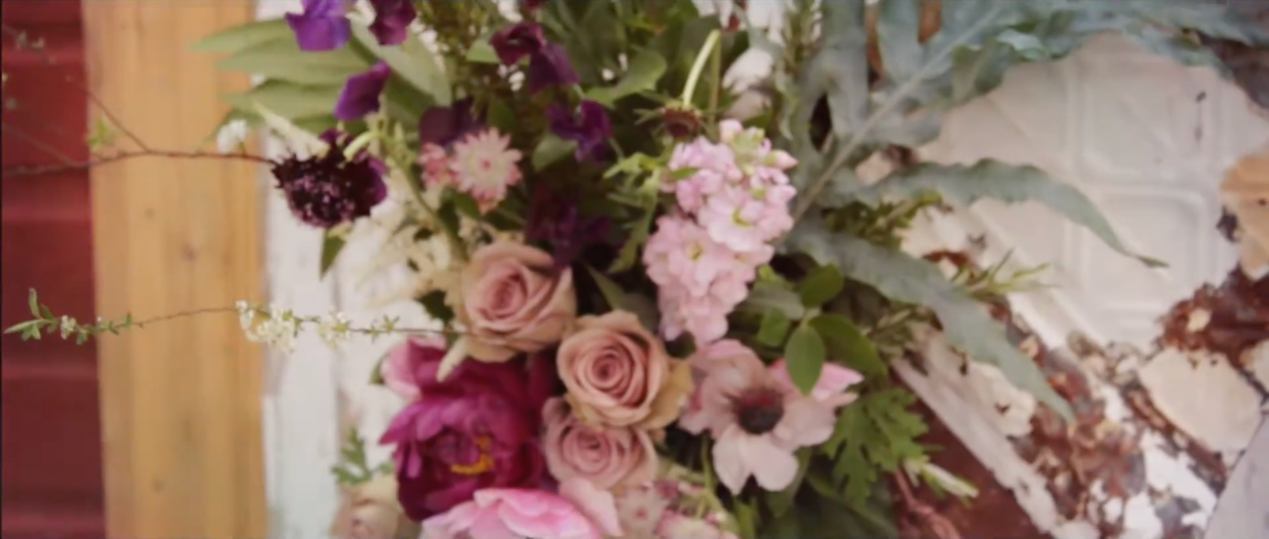 Rustic Farm In the Stars