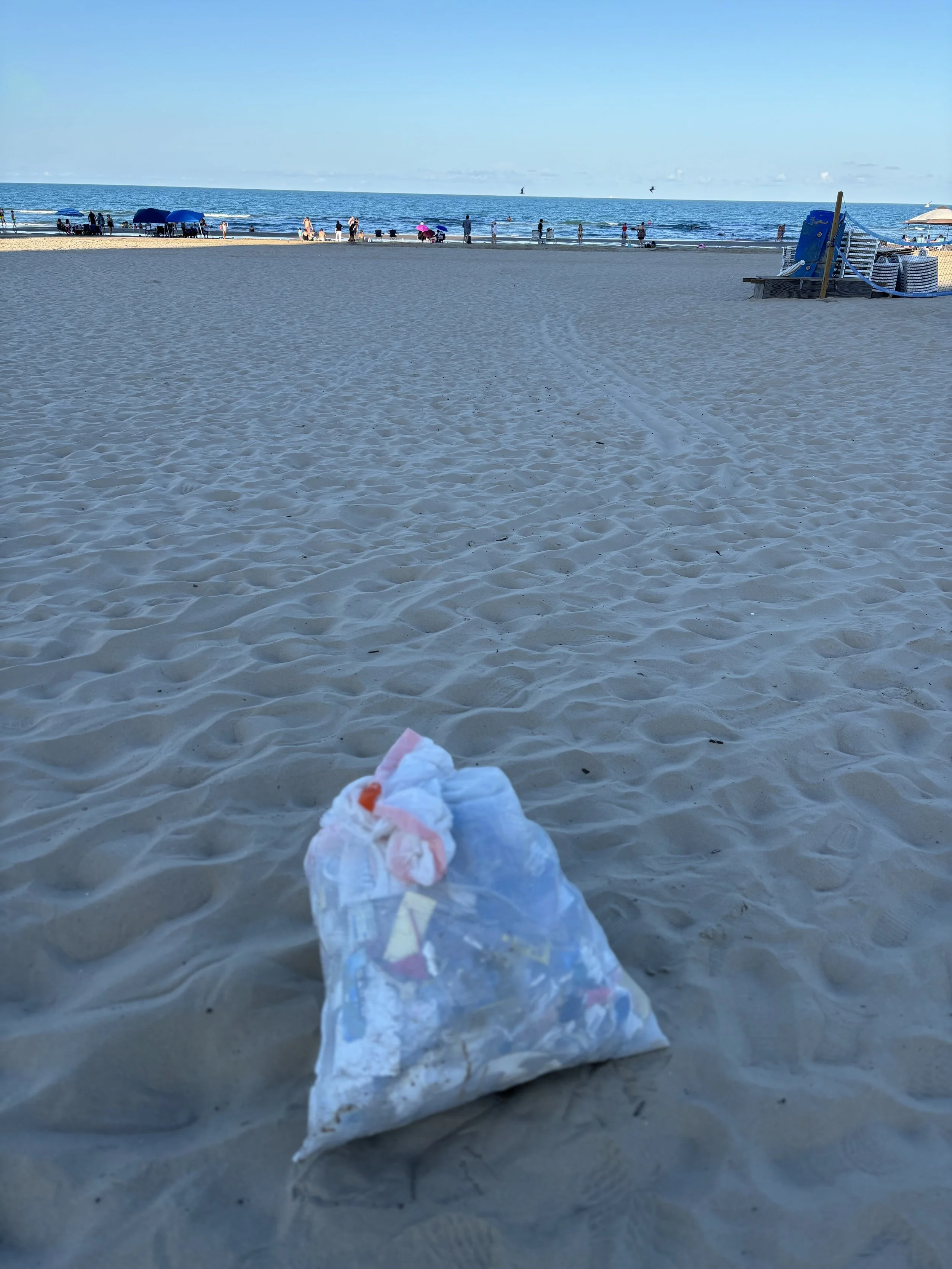 full trashbag and beach pic.jpg