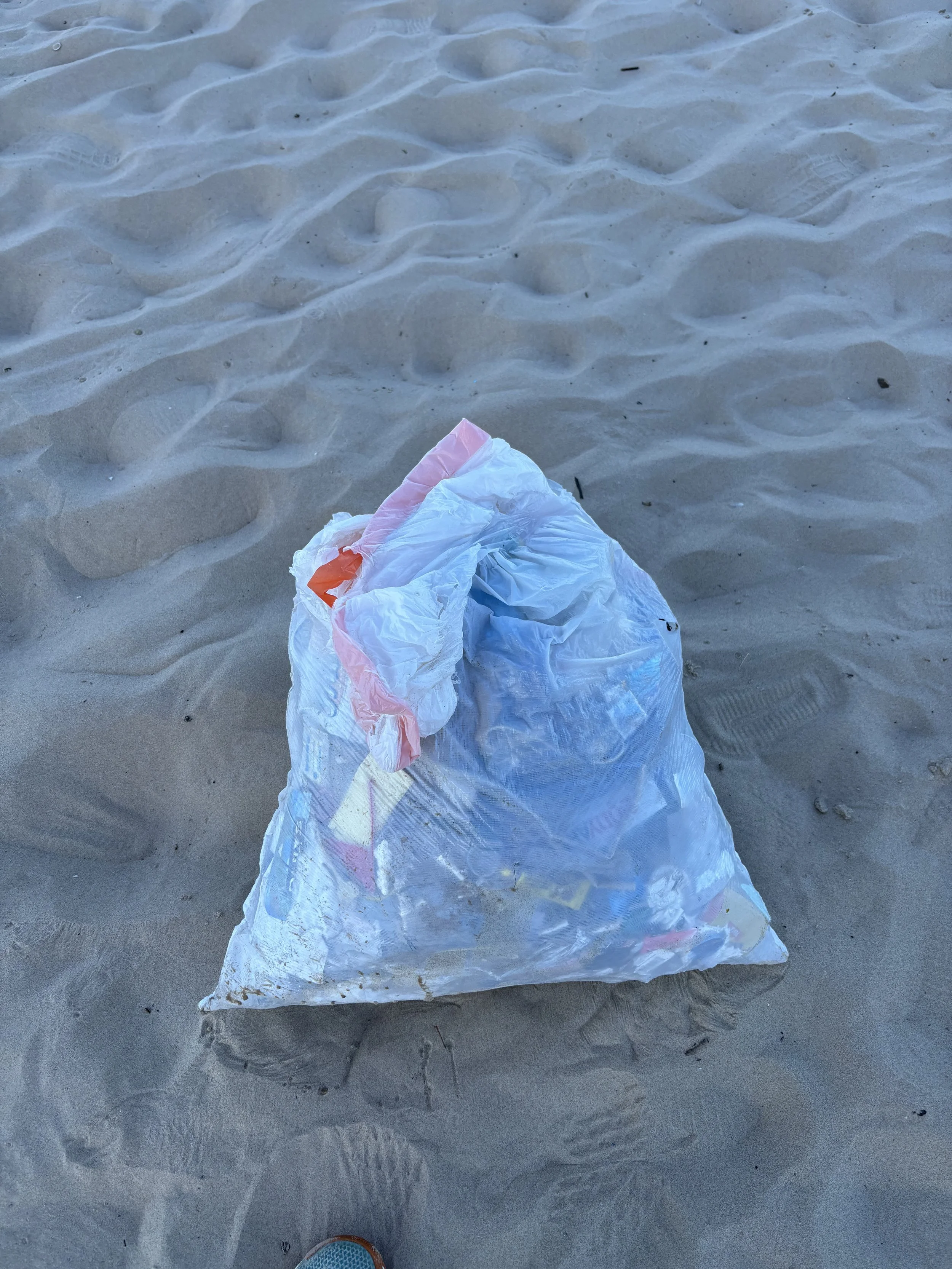 full trashbag.jpg