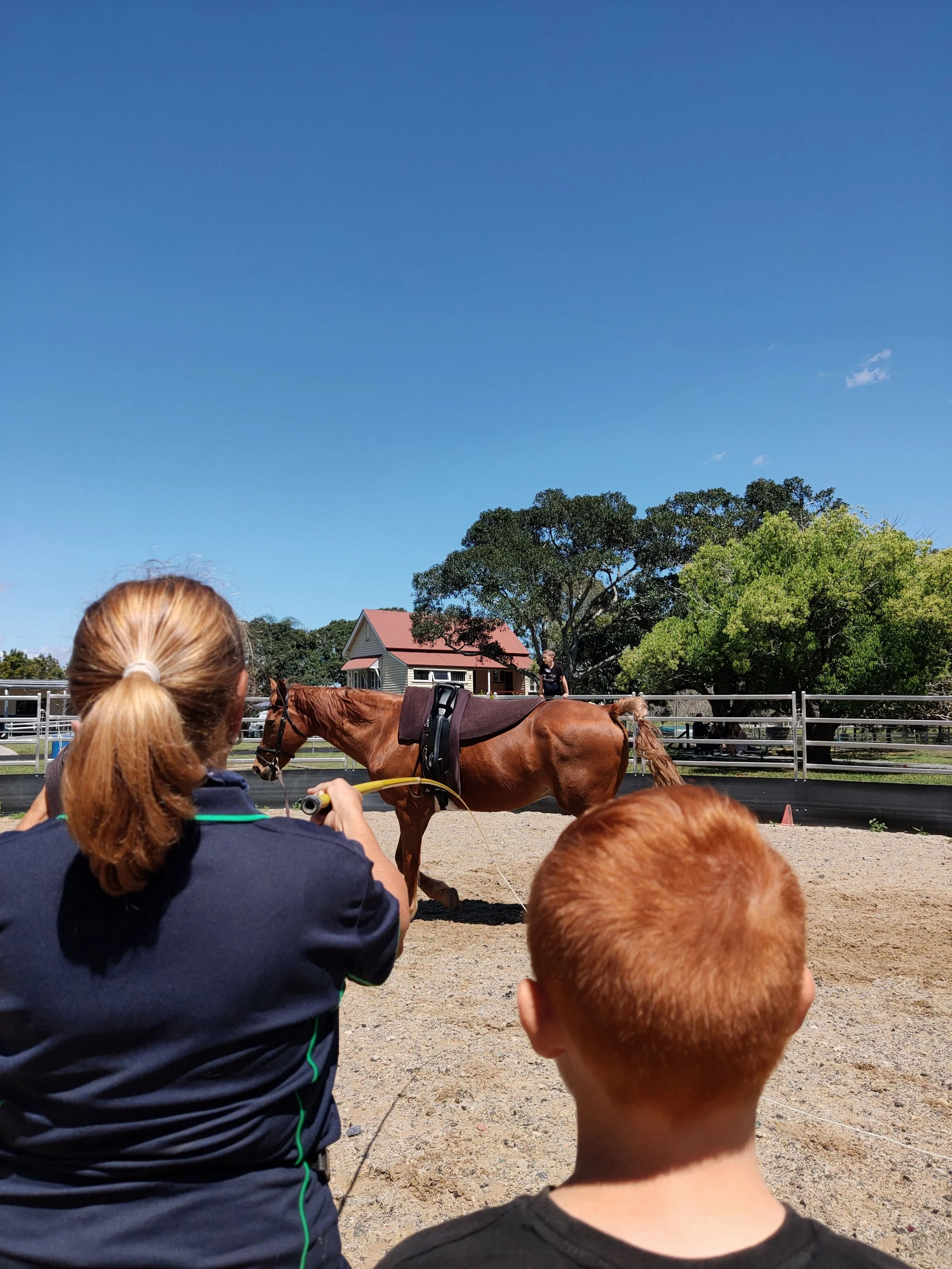 Animal assisted learning