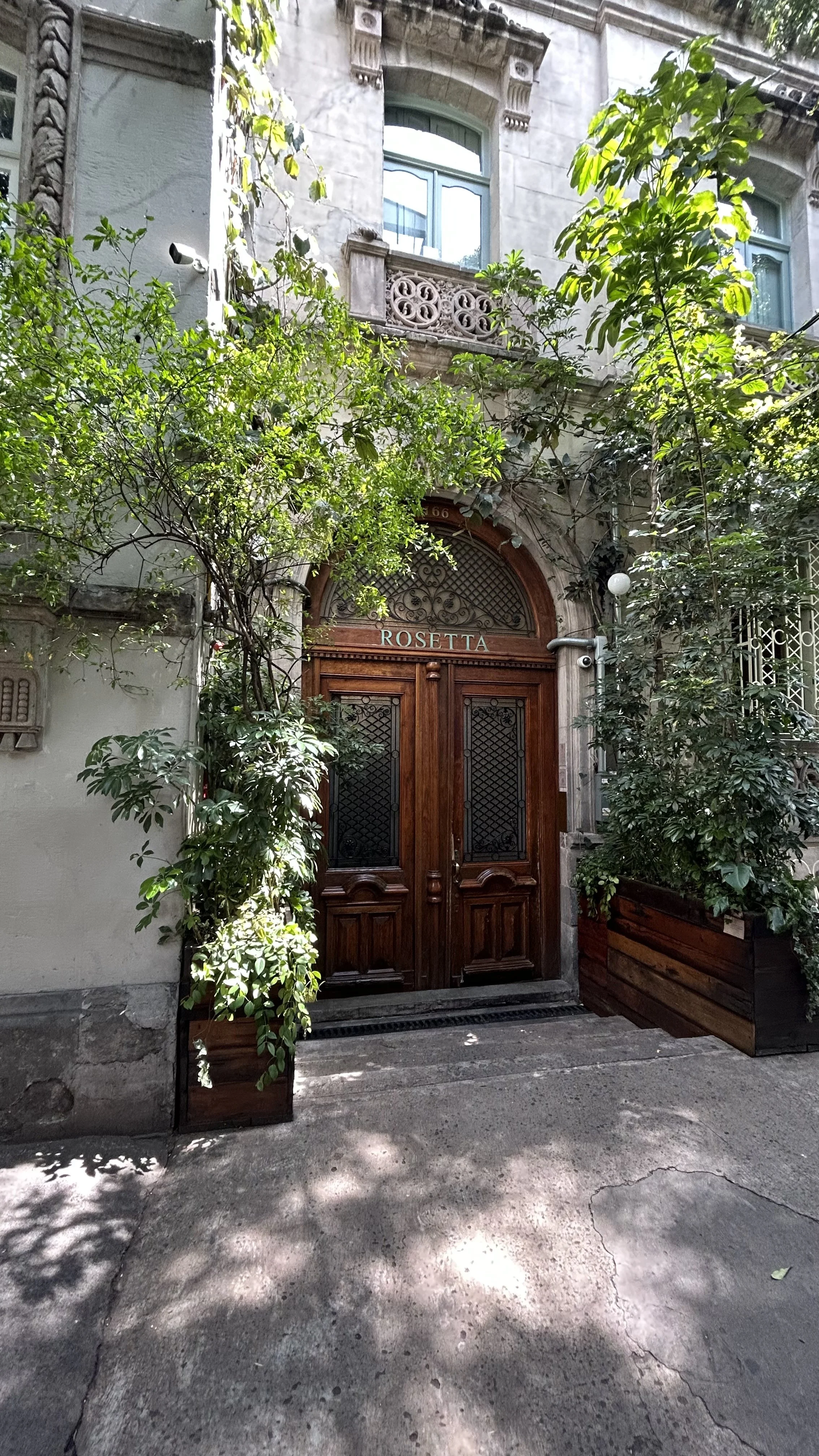 Following the Heart’s Itinerary: Reflections from an Unplanned Week in Mexico City