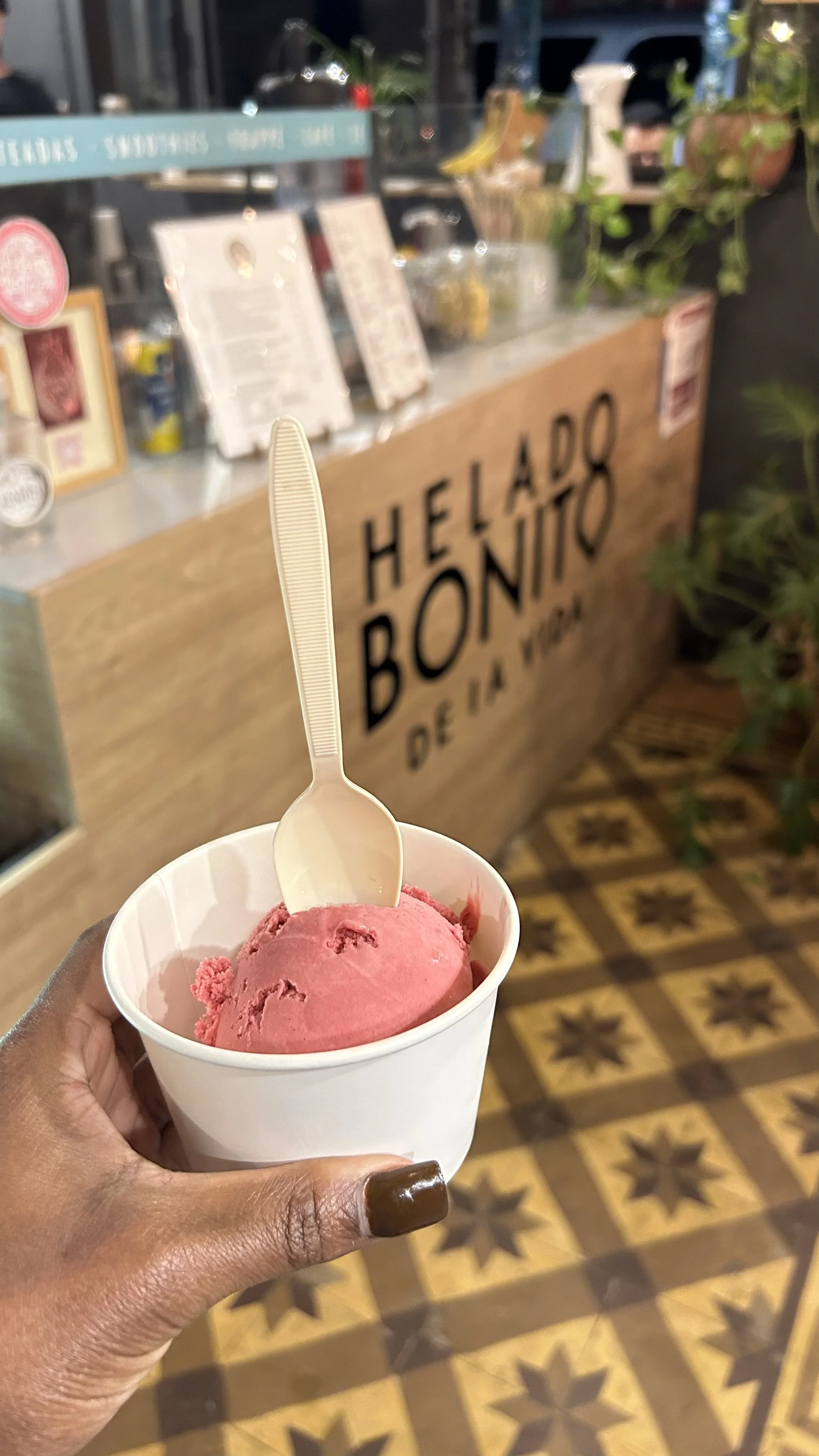 Sweet treat from Helado Bonito