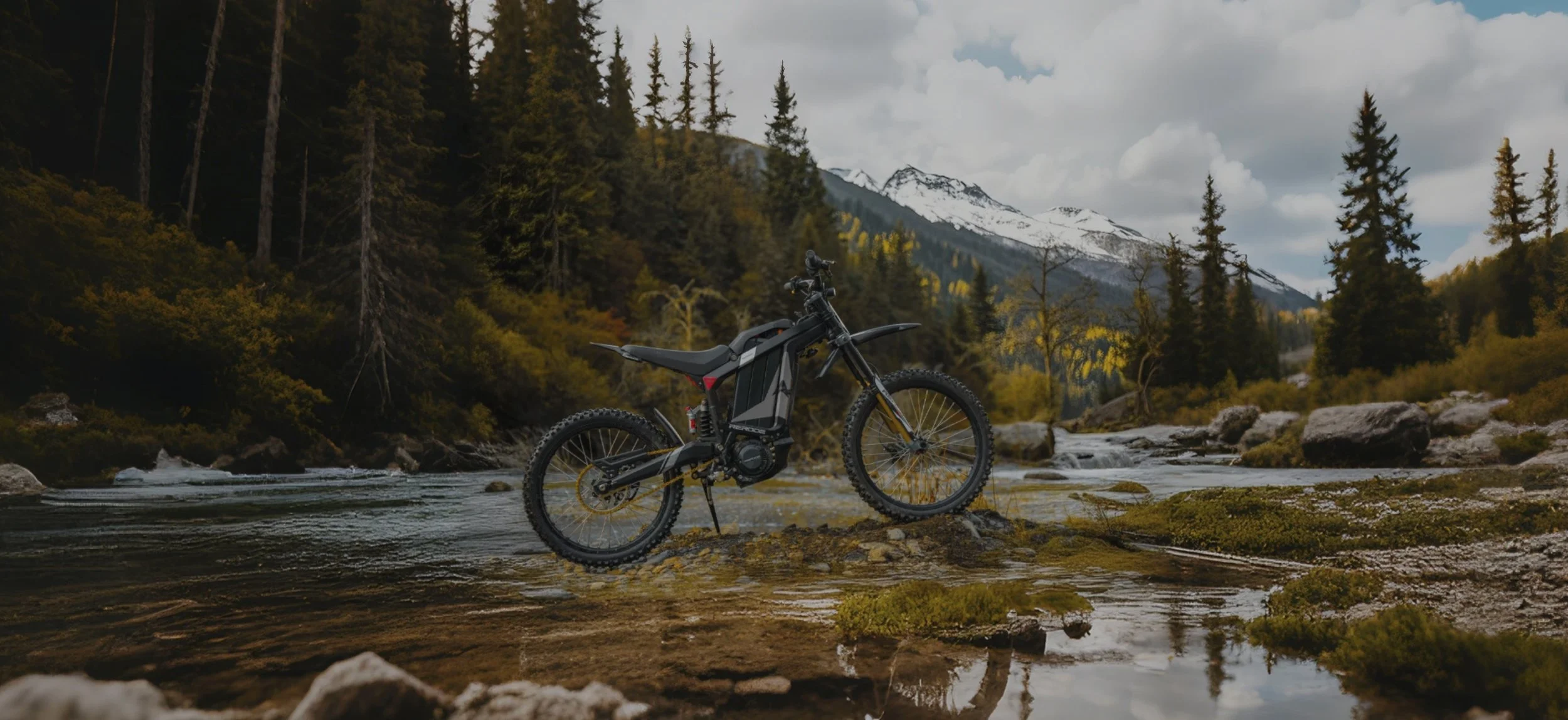 Screenshot 2026-02-04 at 11.31.04 AM.png.jpg