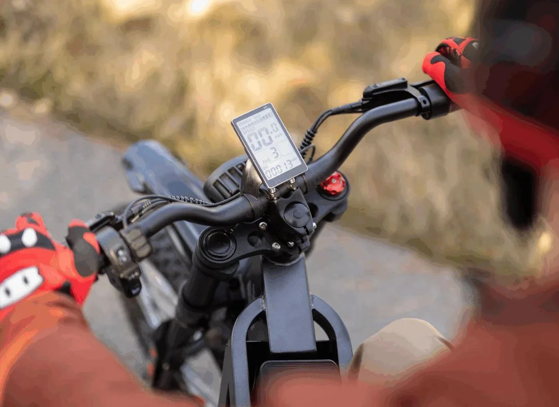 X2 Pro - Features - LCD Display.jpg