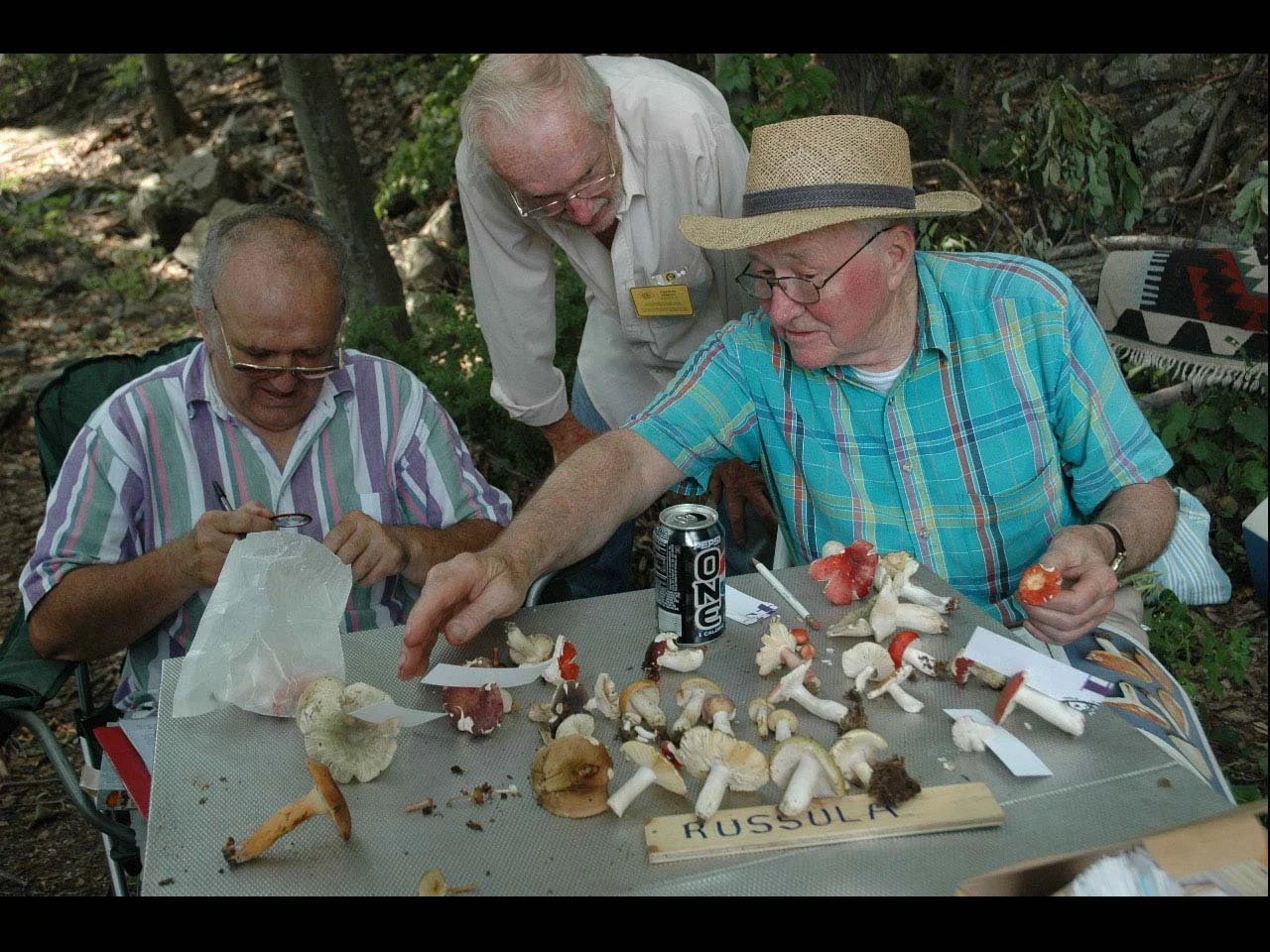 083 Russula guys copy.jpg