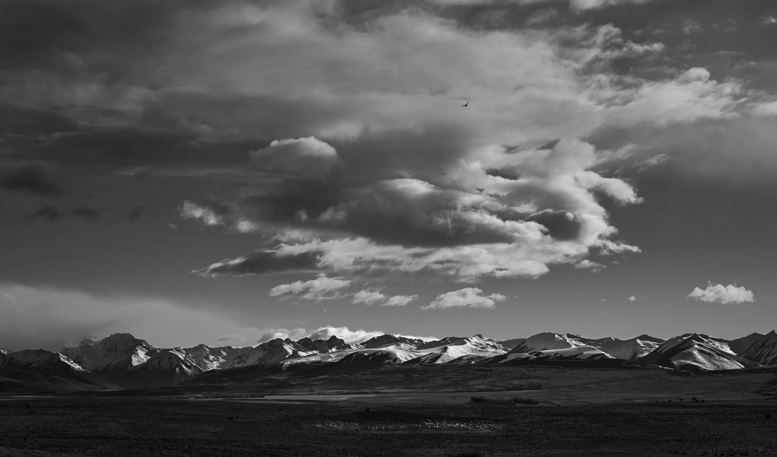View towards the Big Hill Range