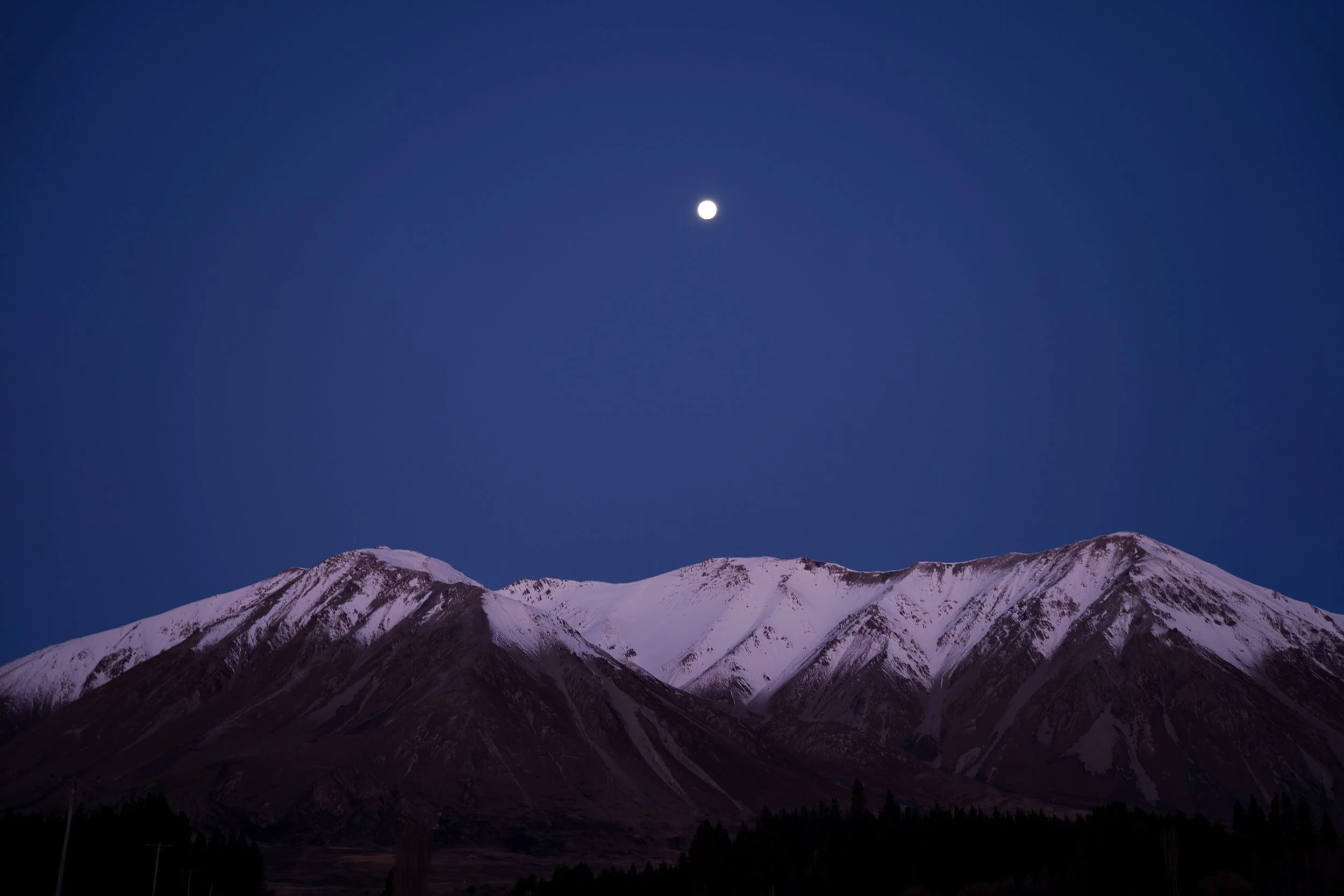 _DSC7564.jpeg