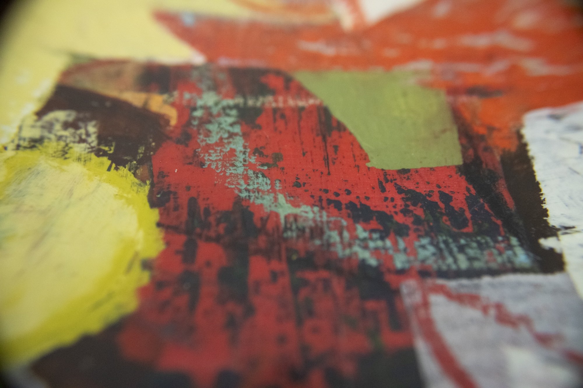 Parakeet's Dance - Detail 3 Photo - Low res.jpg