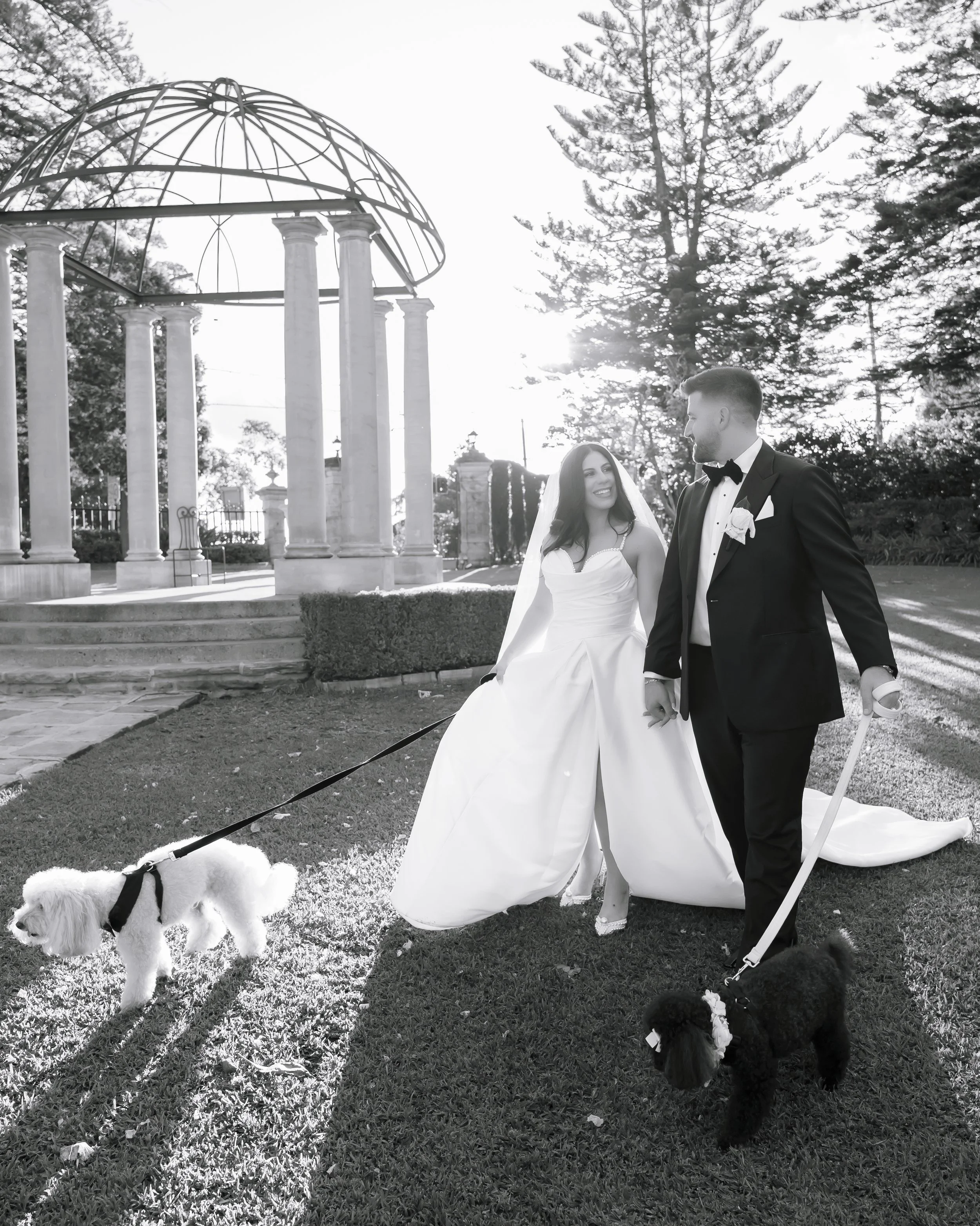 A bride and groom walking their dogs outdoors during sunset, with a decorative pavilion and trees in the background.