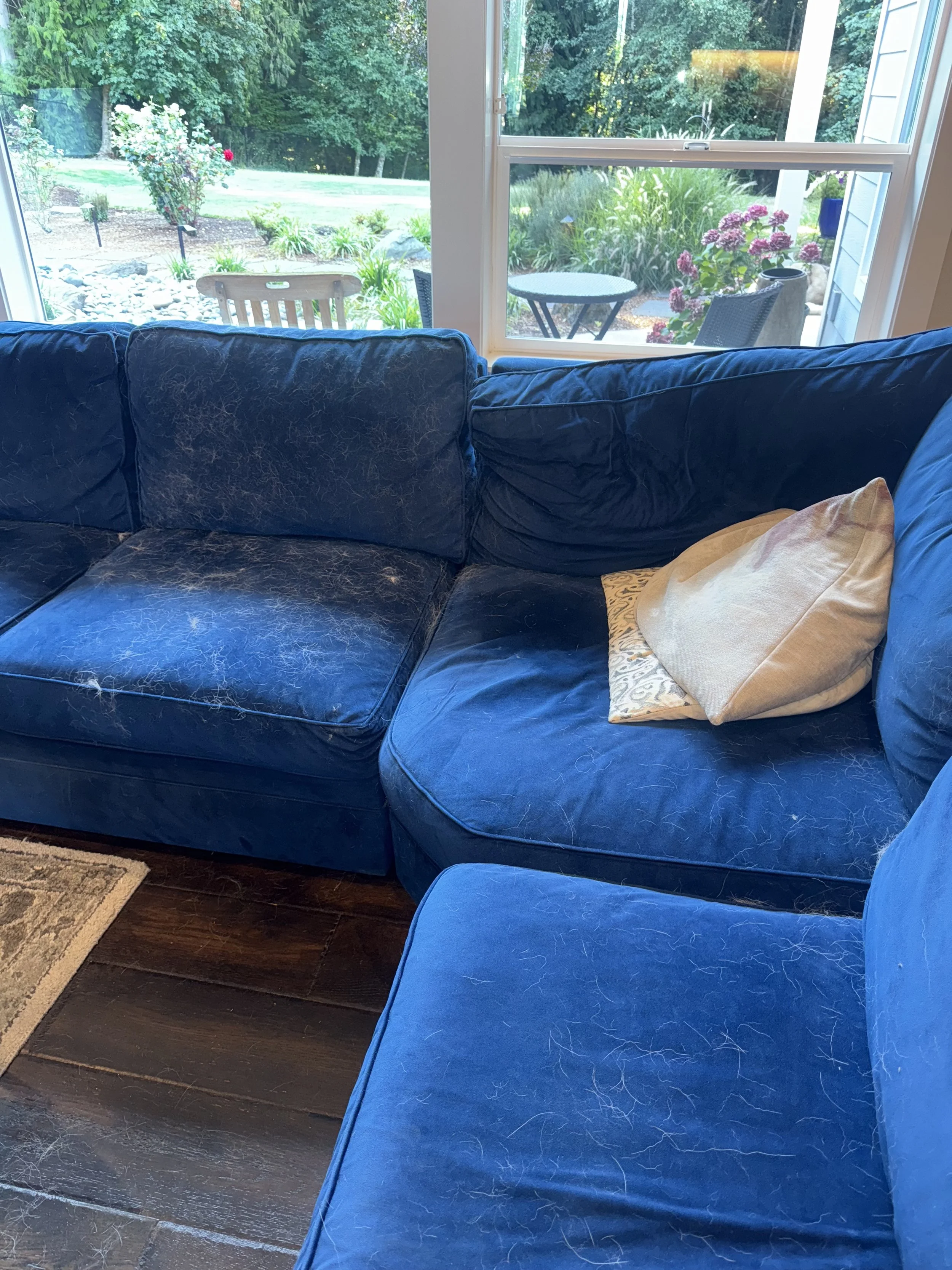 This couch gets covered in dog hair, every two weeks we clean it up like new.
