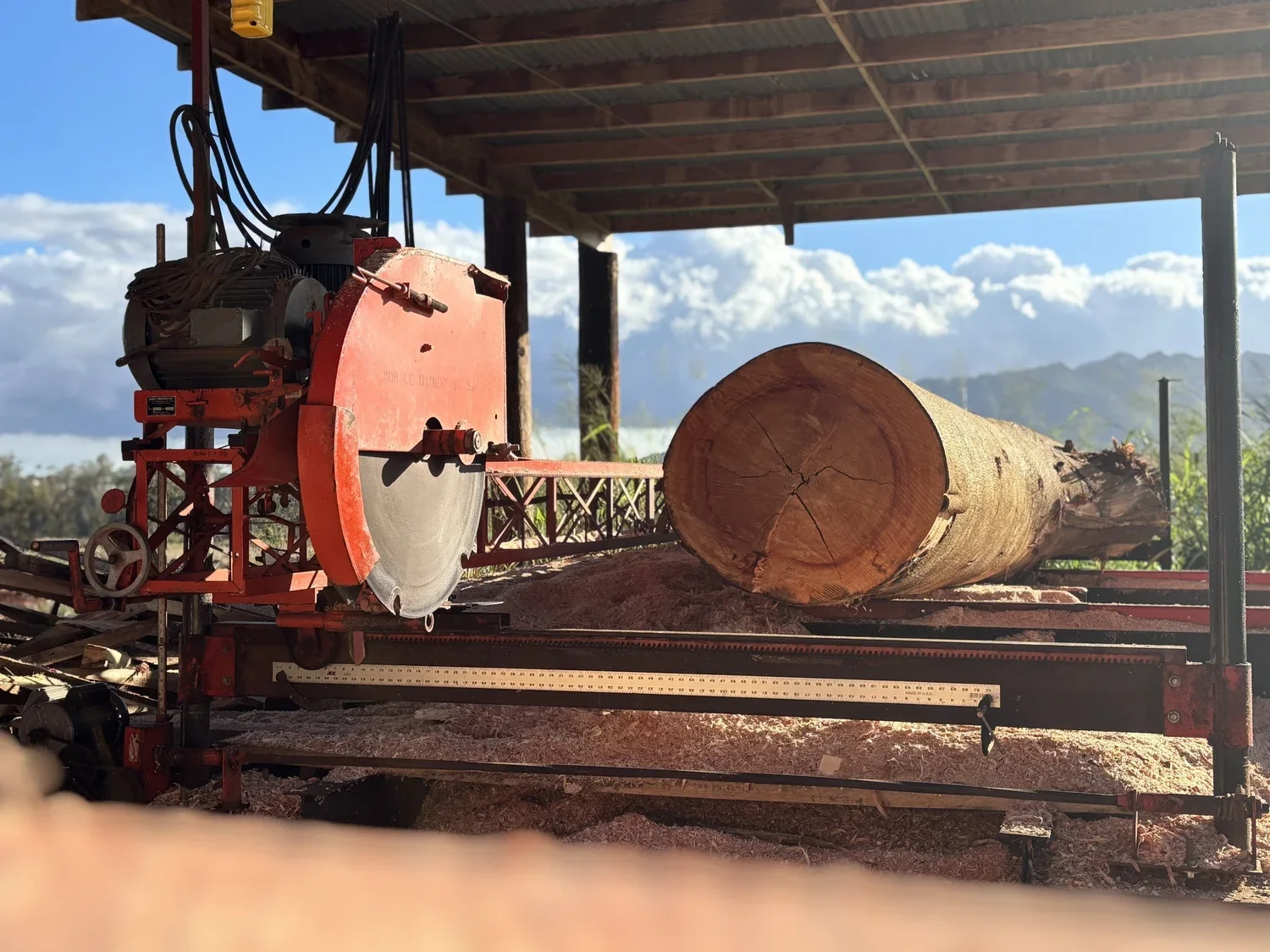 NaheleSawmill1.webp