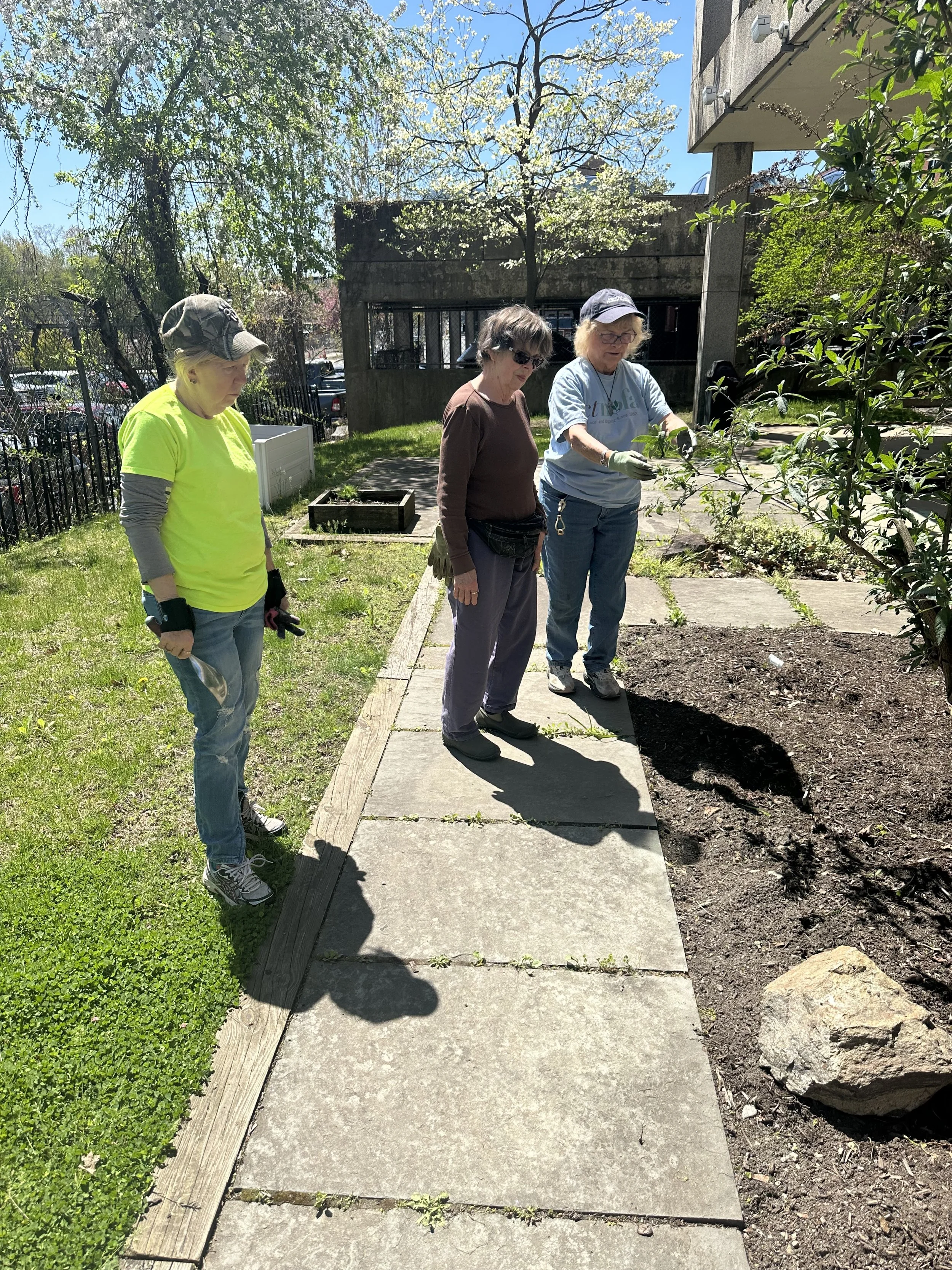 Library Makeover with Elna Pizighelli, Patti Buchanan, Susan Holland, and Doug Towne Sr.
By: Doug T. Sr.