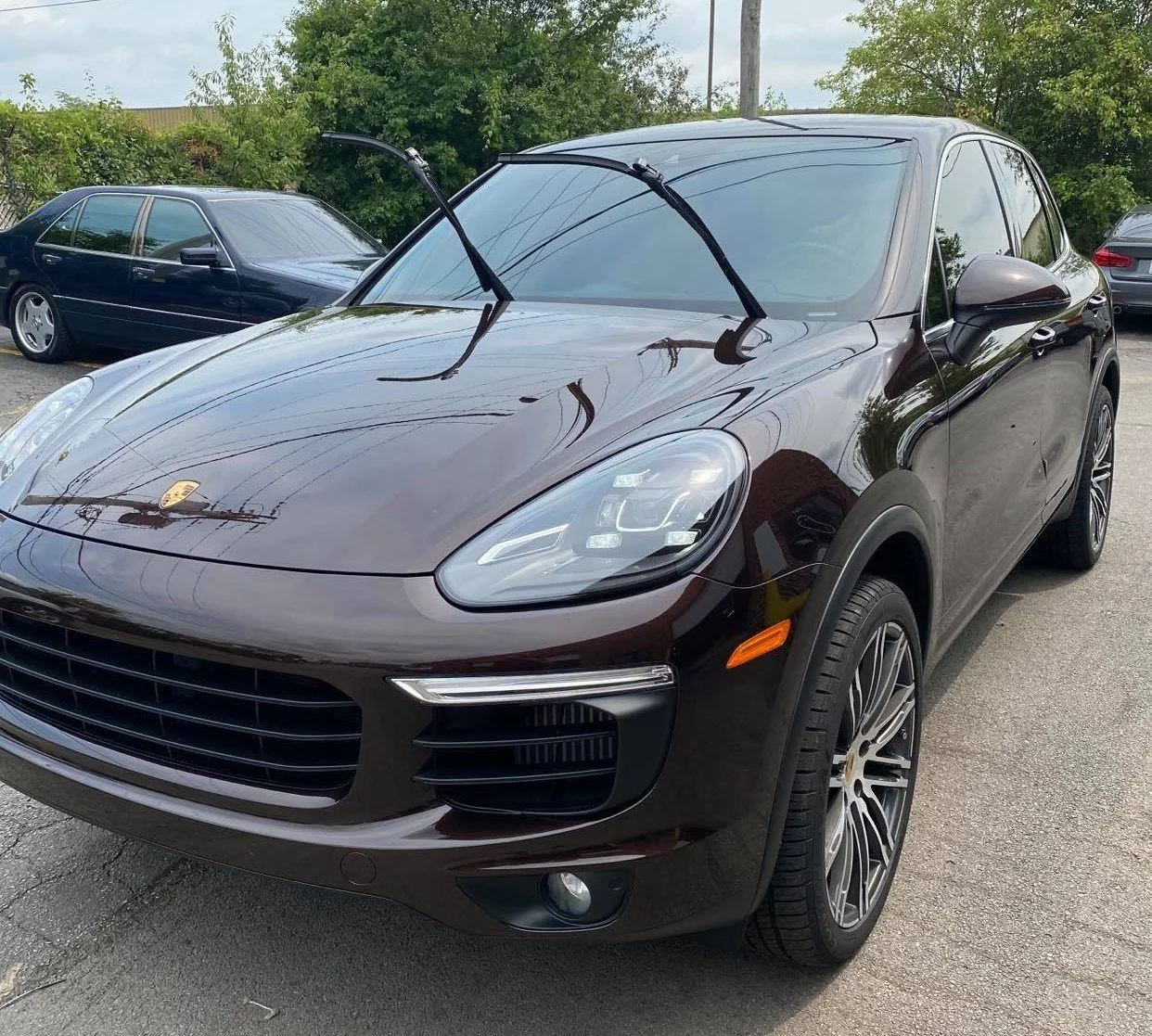 ppf protection, clear bra