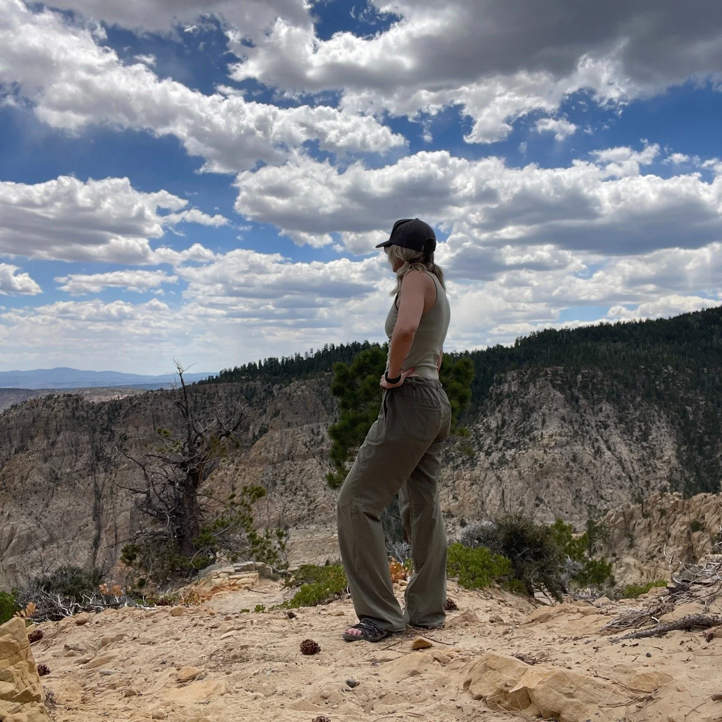 If you're not sure who to be as a leader right now ...

(which would be totally human of you because 'waves around at everything'), 

.... consider this question.

What does the "room" need?

This was a question that came out of a Situation