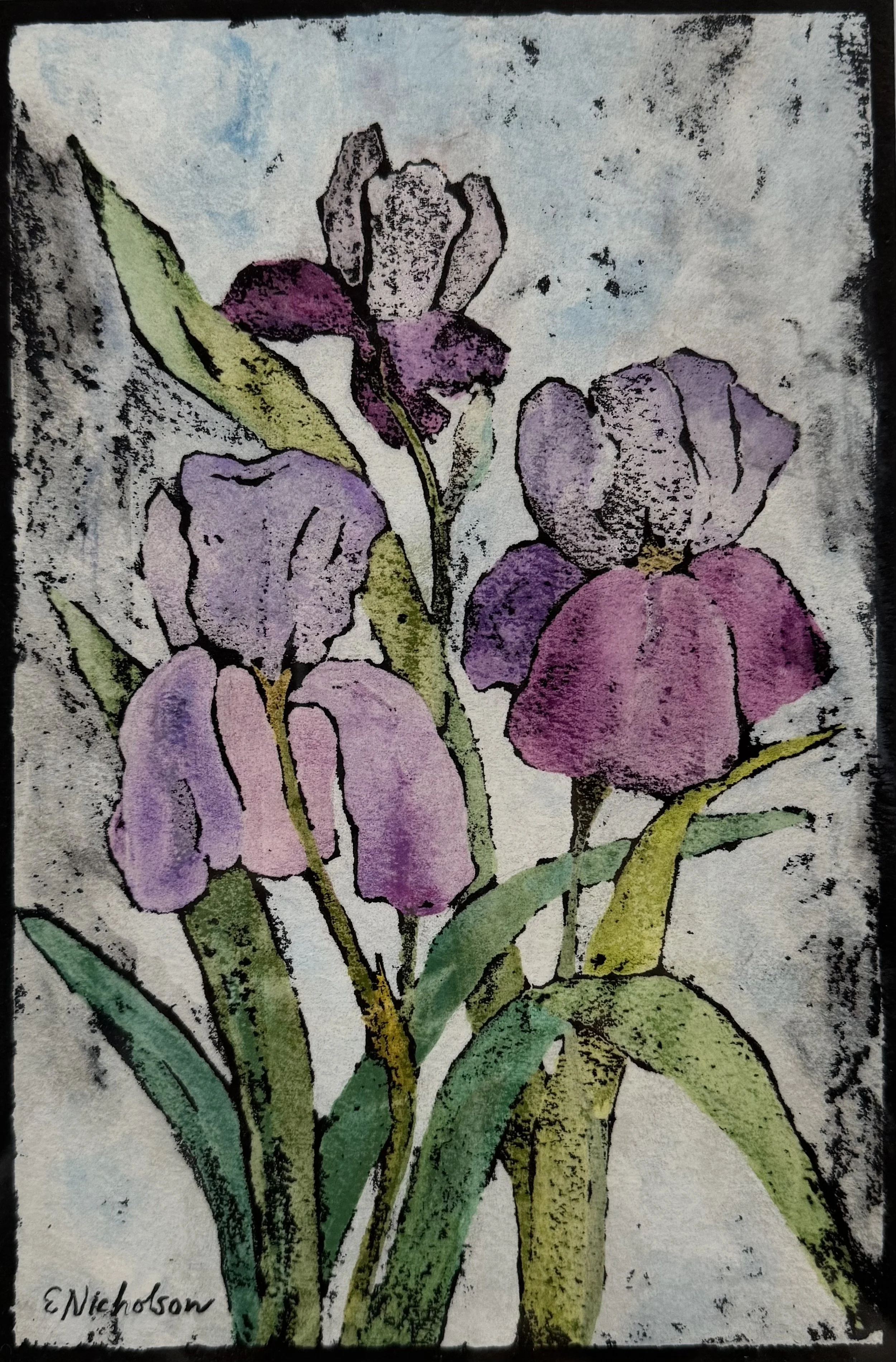 Iris II