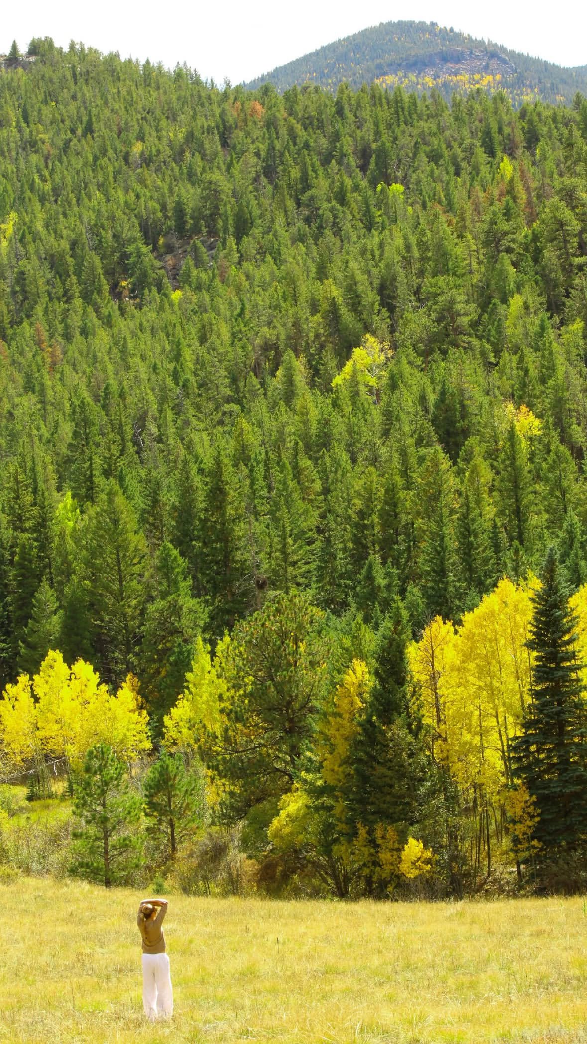 1741A053-F5F5-4C4A-A7AC-0DA1124509D4.jpeg