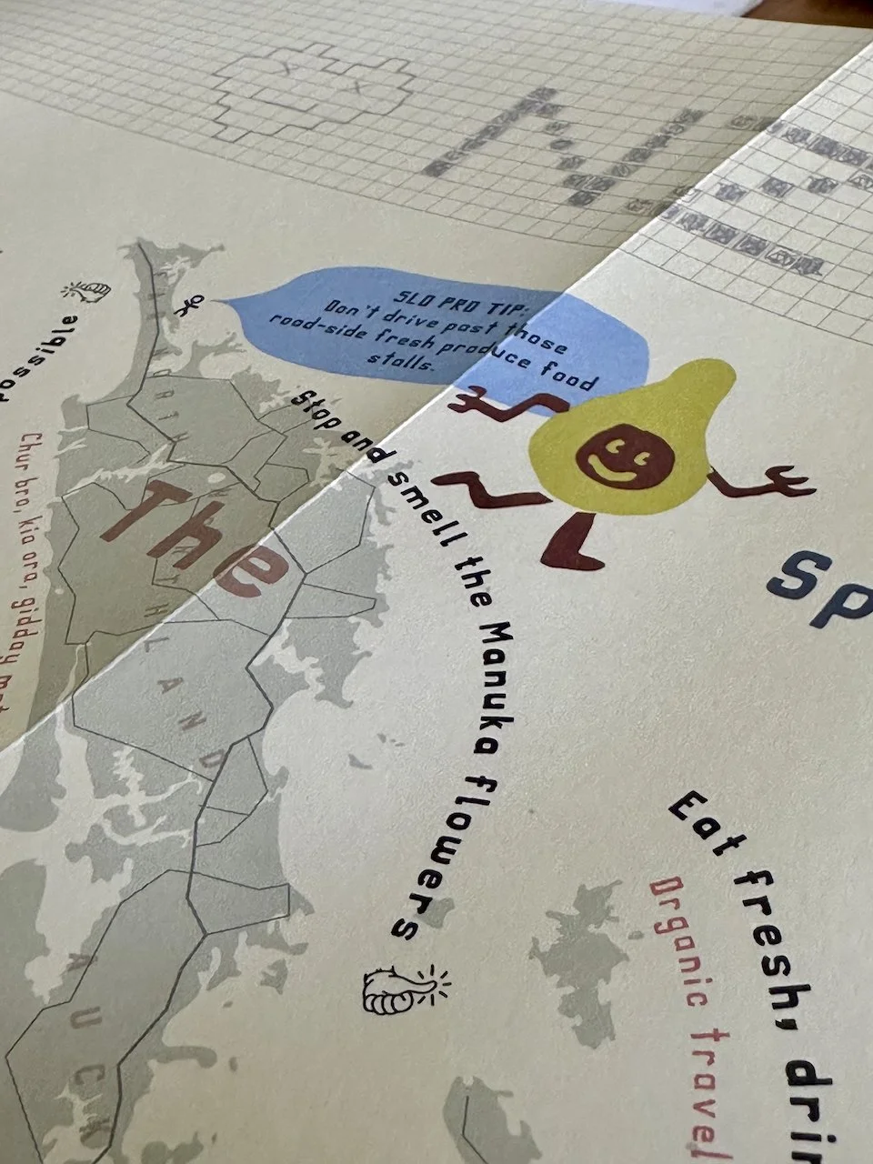 NZ Travel Well SLO Traveller Map IMG_4732.jpeg