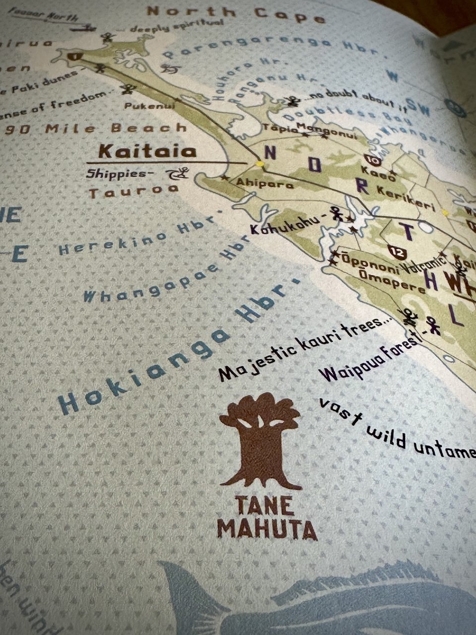 NZ Travel Well SLO Traveller Map IMG_4726.jpeg